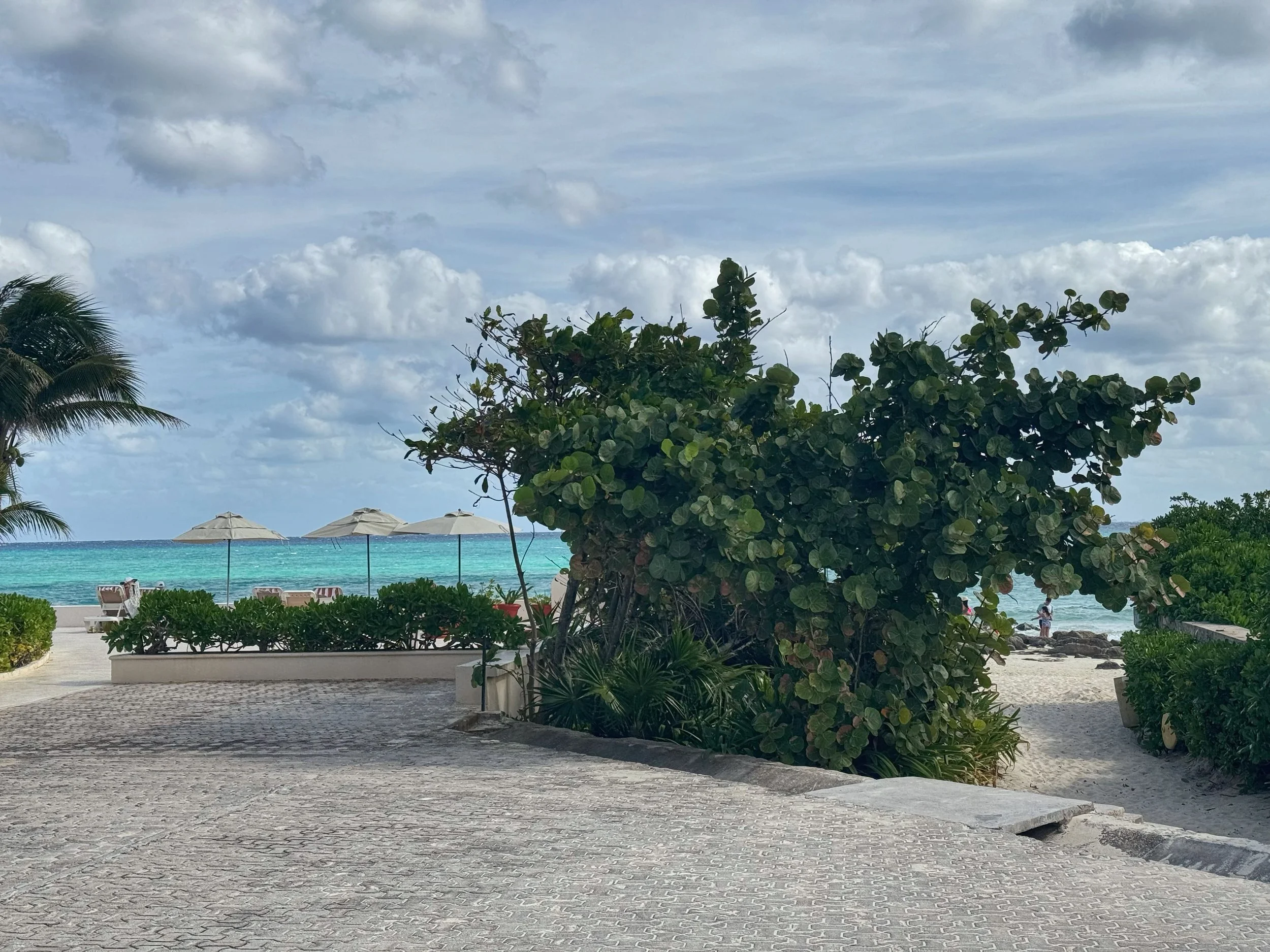 Playacar-Playa-del-Carmen-2.JPG