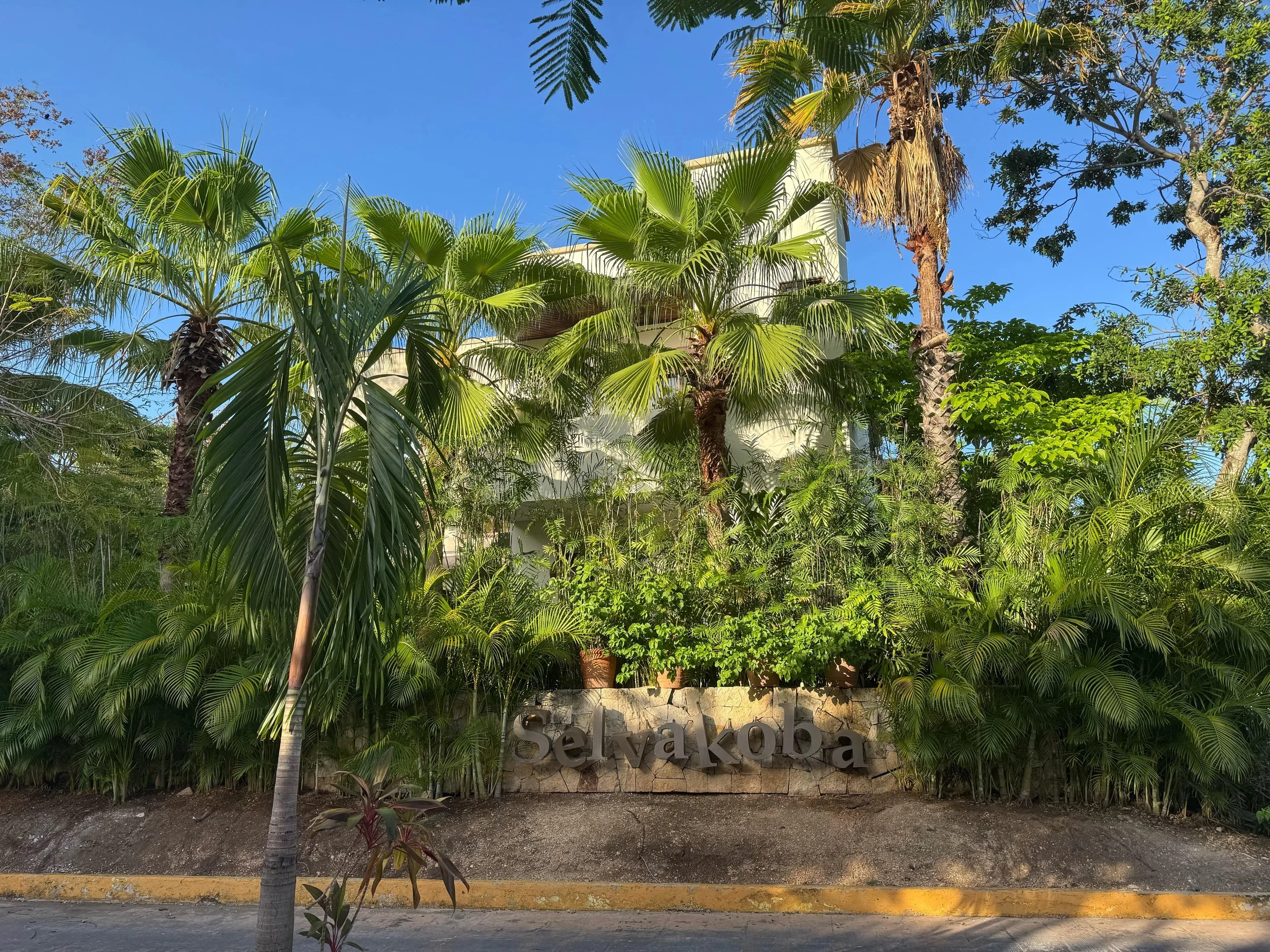 Condo in Selvamar Residencial.JPG