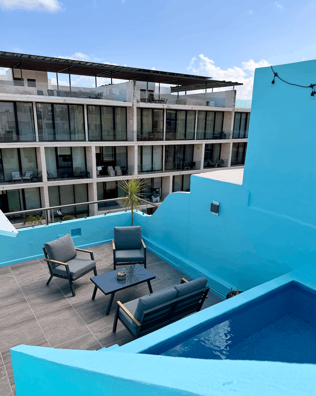 Flamingos Playa del Carmen.png