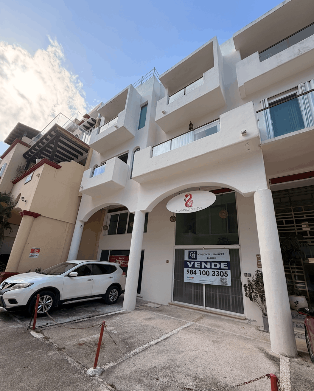 Flamingos Playa del Carmen 33.png