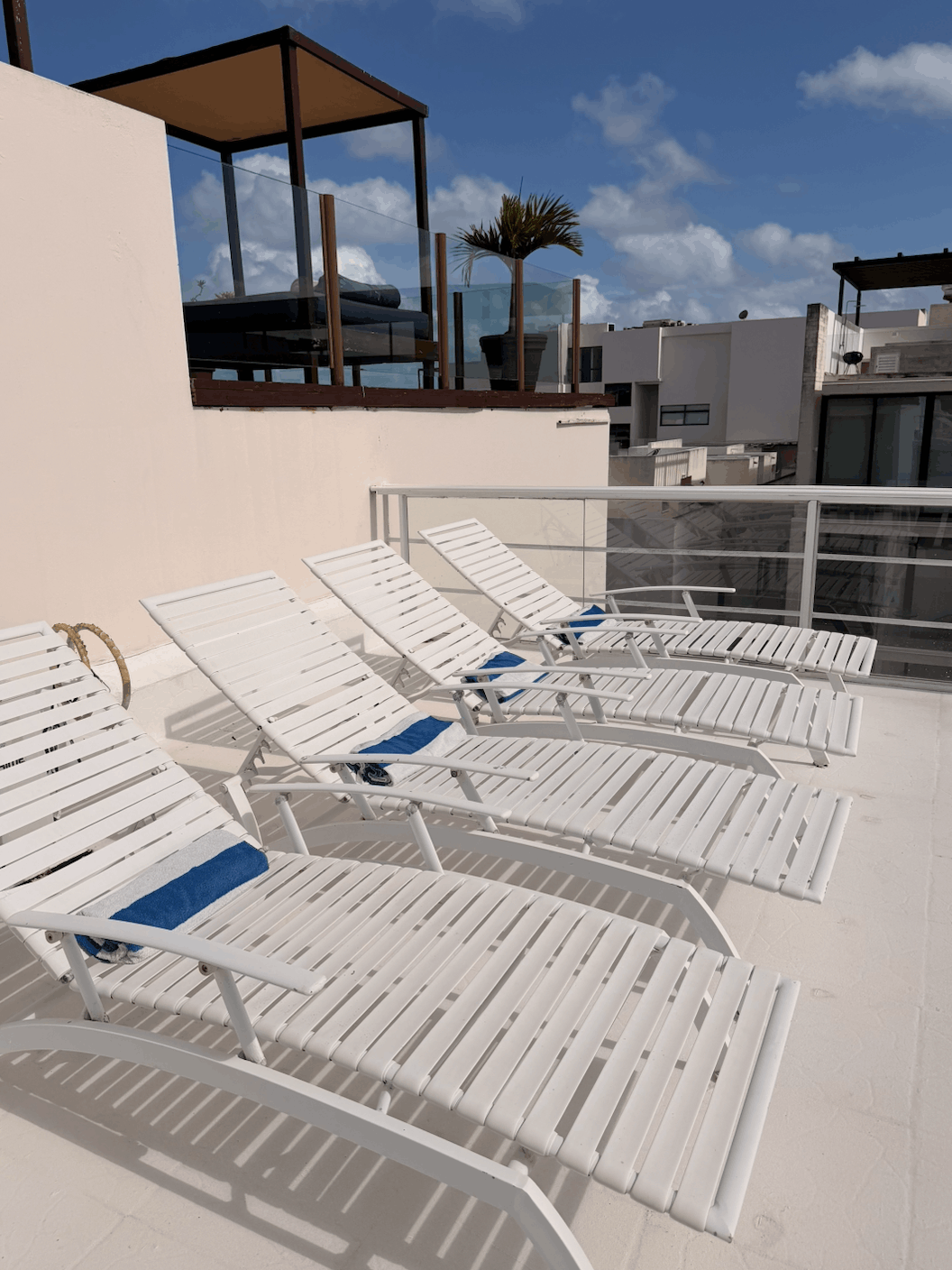 Flamingos Playa del Carmen 22.png