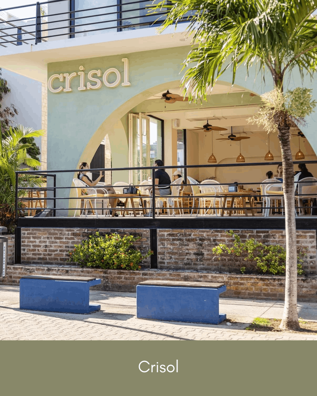 Colosio Playa del Carmen - Coffee Shop 2.png