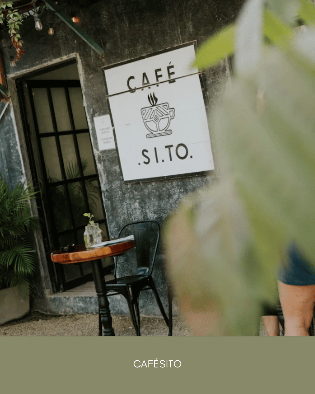 La Veleta Guide (2026).png