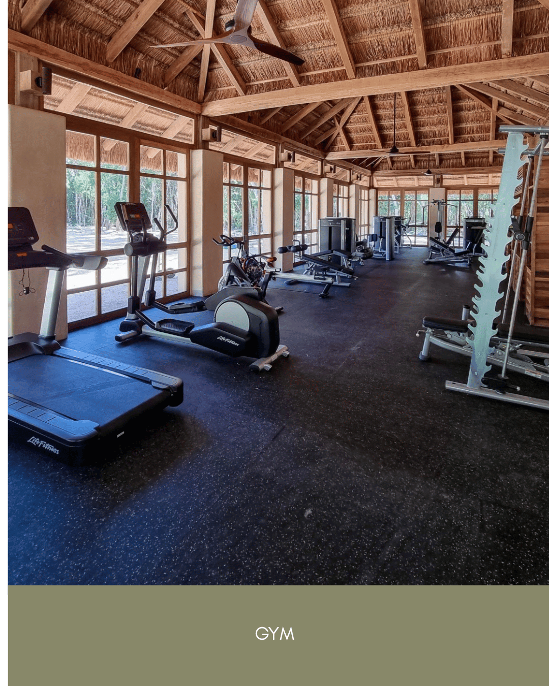 Selva Estates (2).png