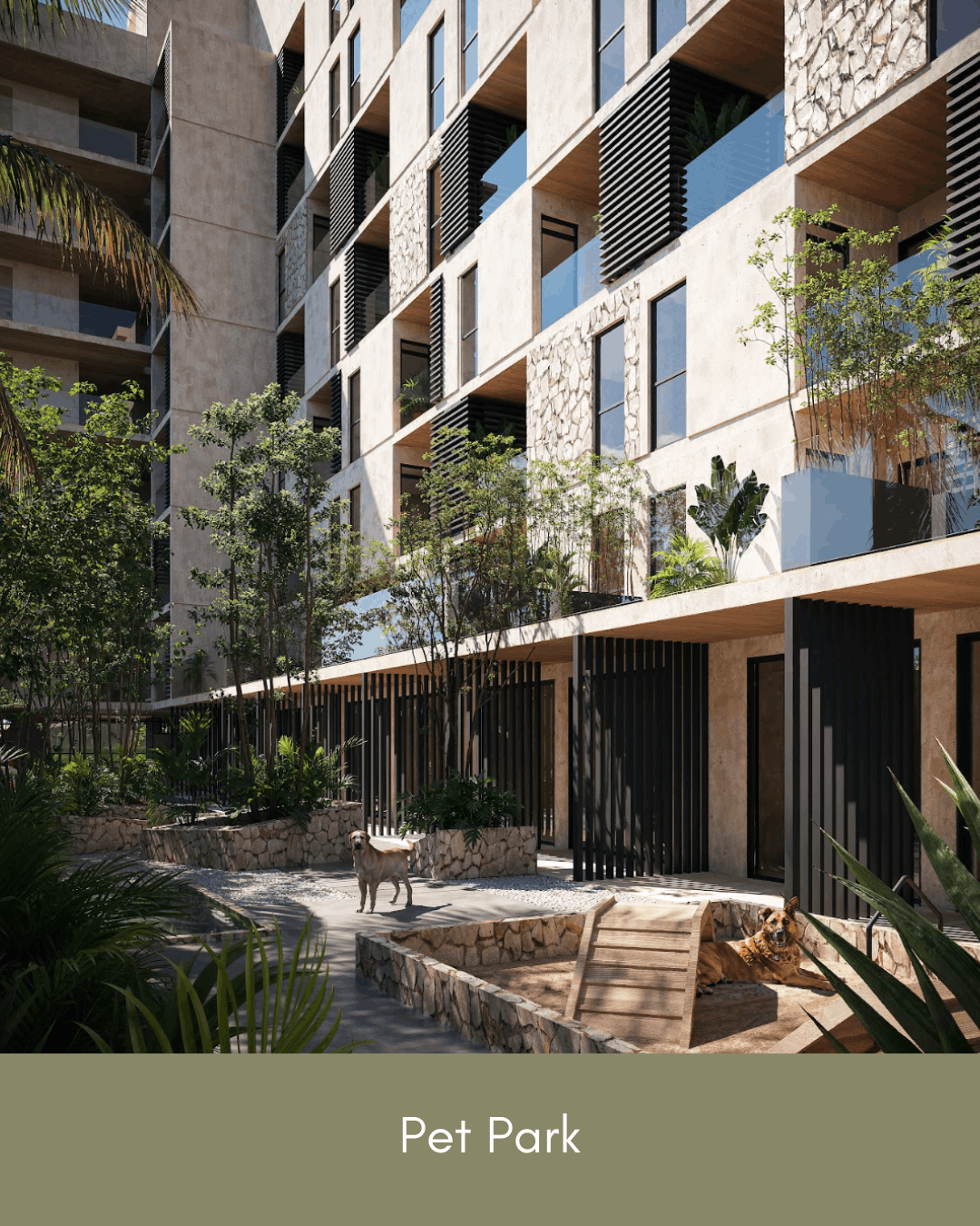 Terra Playa del Carmen Amenities 1.png