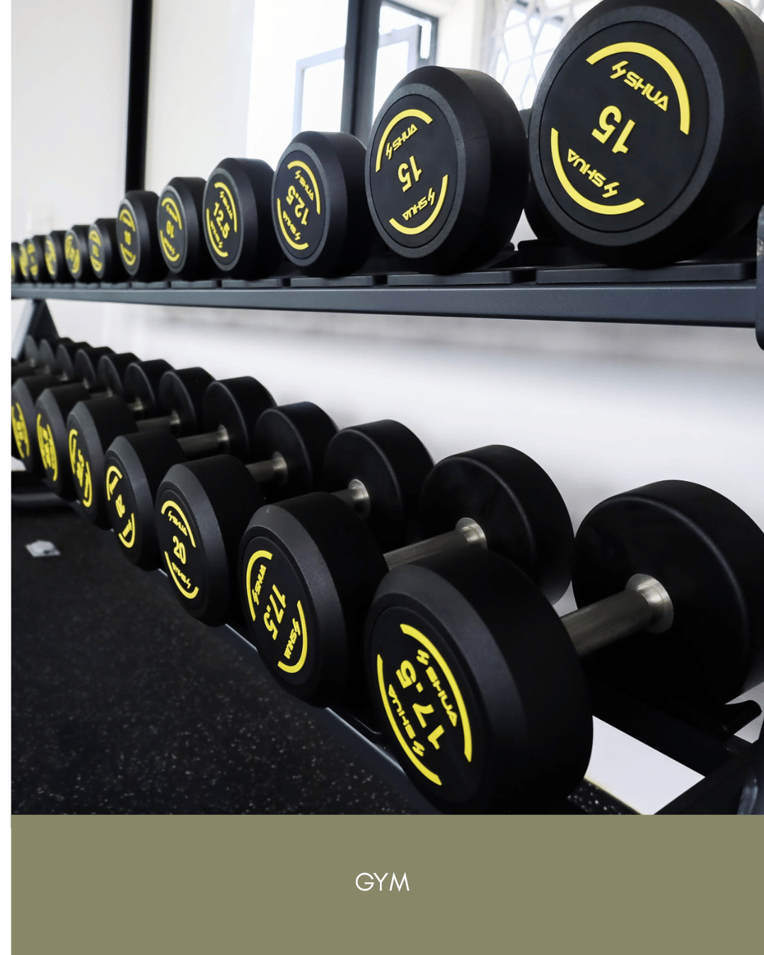 Duna Playa del Carmen (4).png