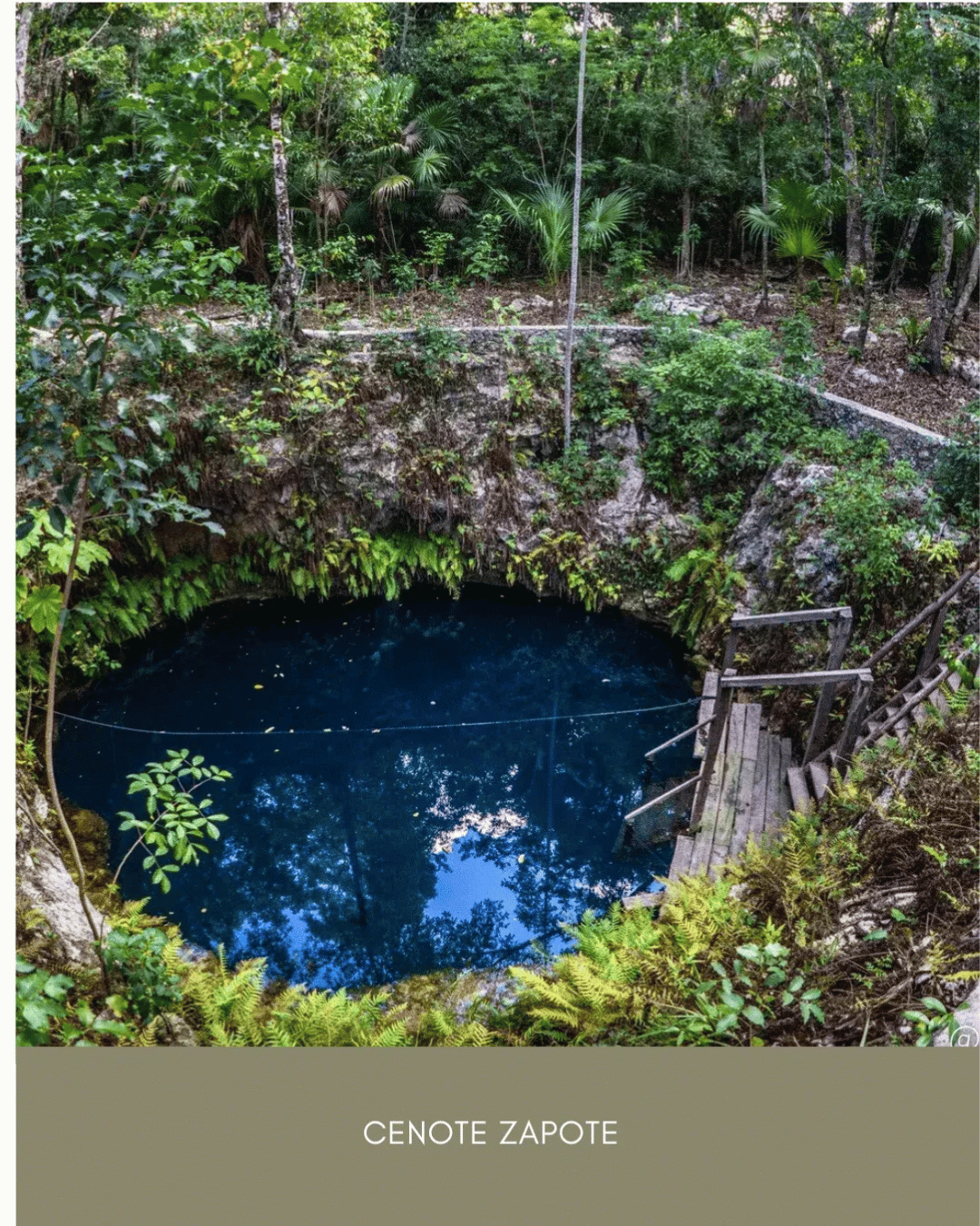 Cenote Zapote.png