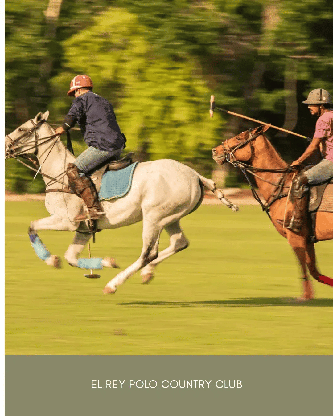 El Rey Polo Club.png