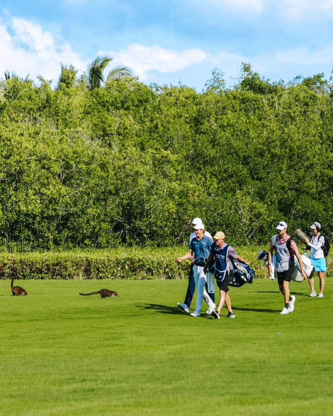 El Camaleón Mayakoba Golf Course 4.jpg