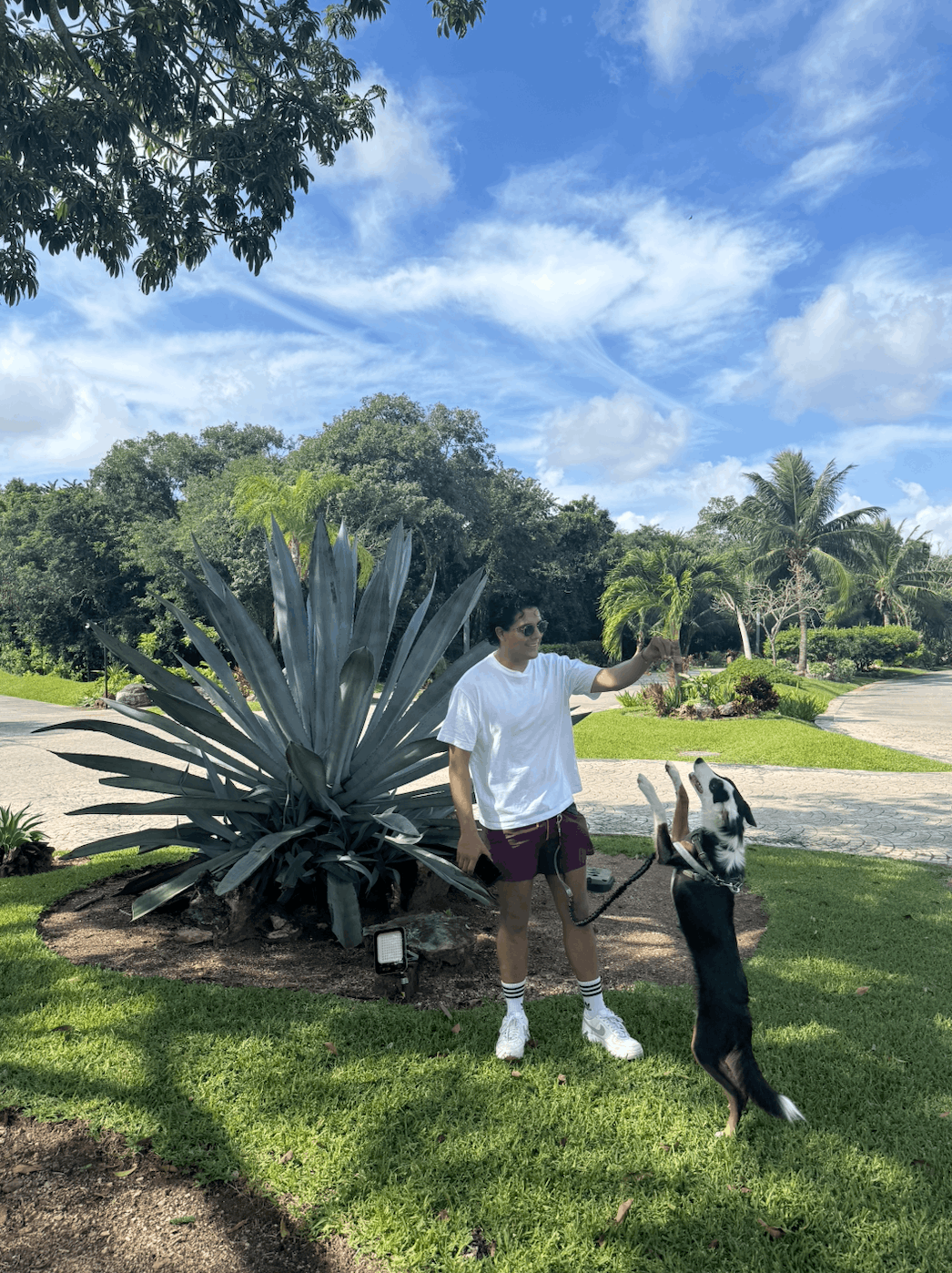 Selvamar Lifestyle 1.png
