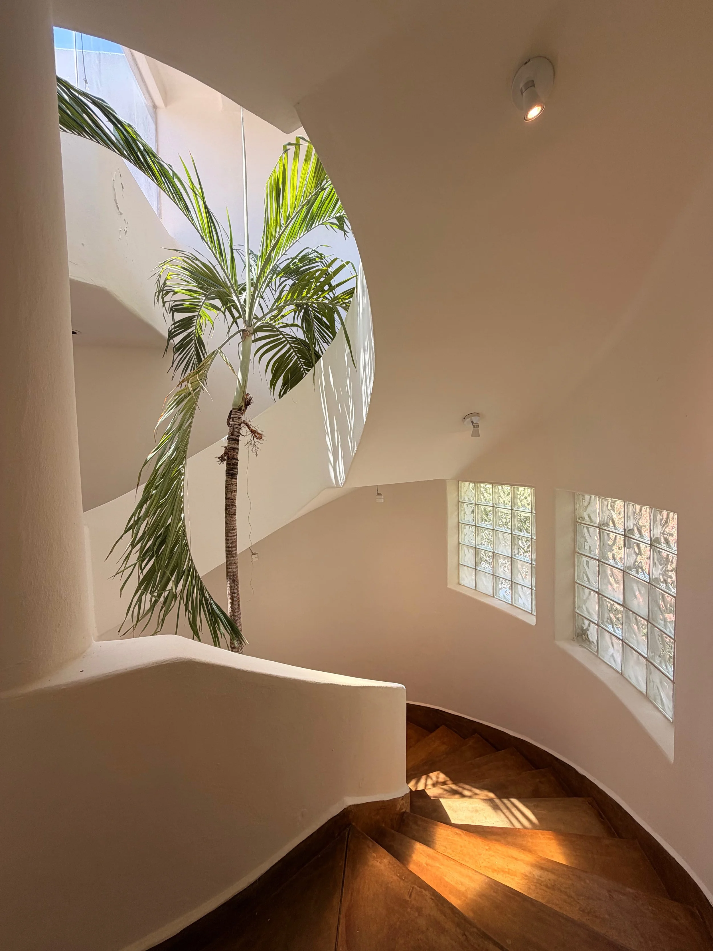 Club Real Playacar 5.jpg