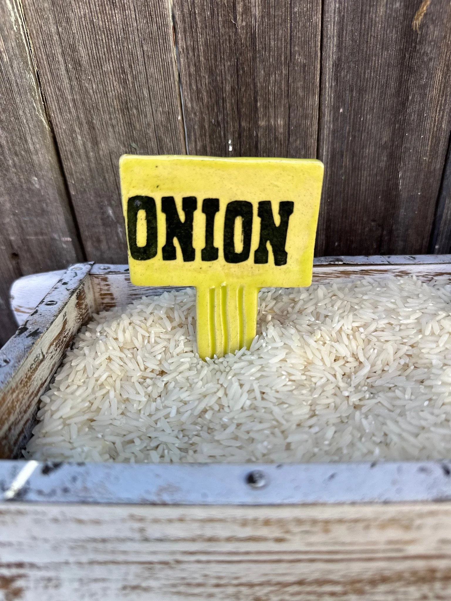 onion