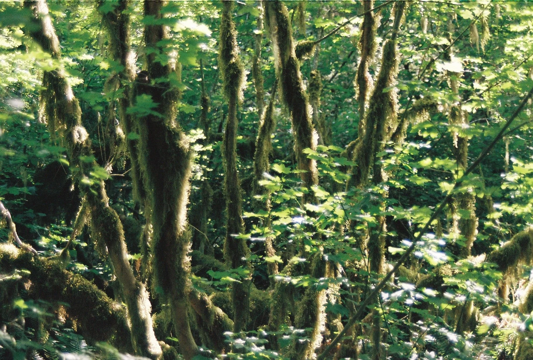 R1-00301-022A copy.JPEG