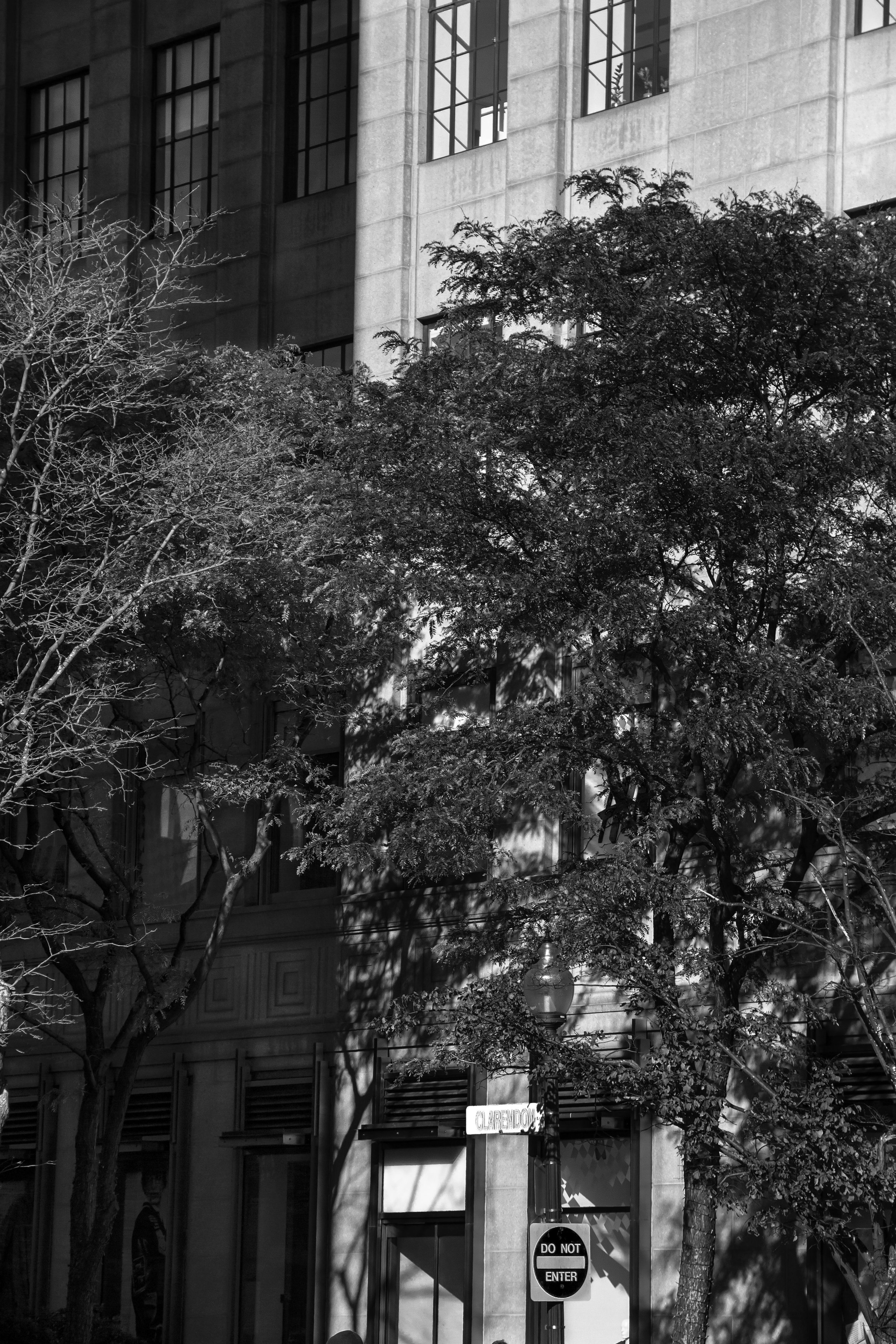 Portfolio_Ocko_0007-1 copy.jpg