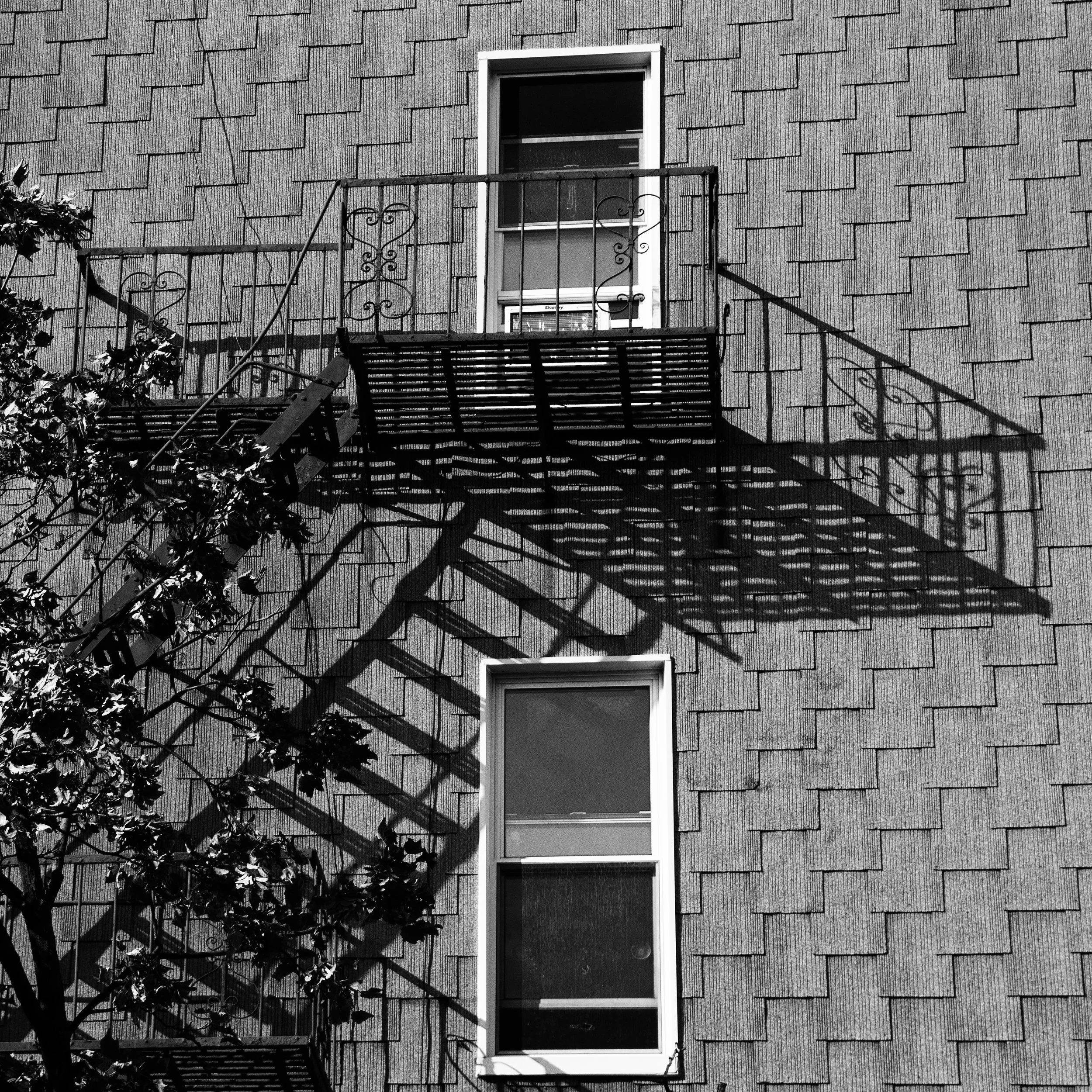 Portfolio_Ocko0067_crop copy.jpg