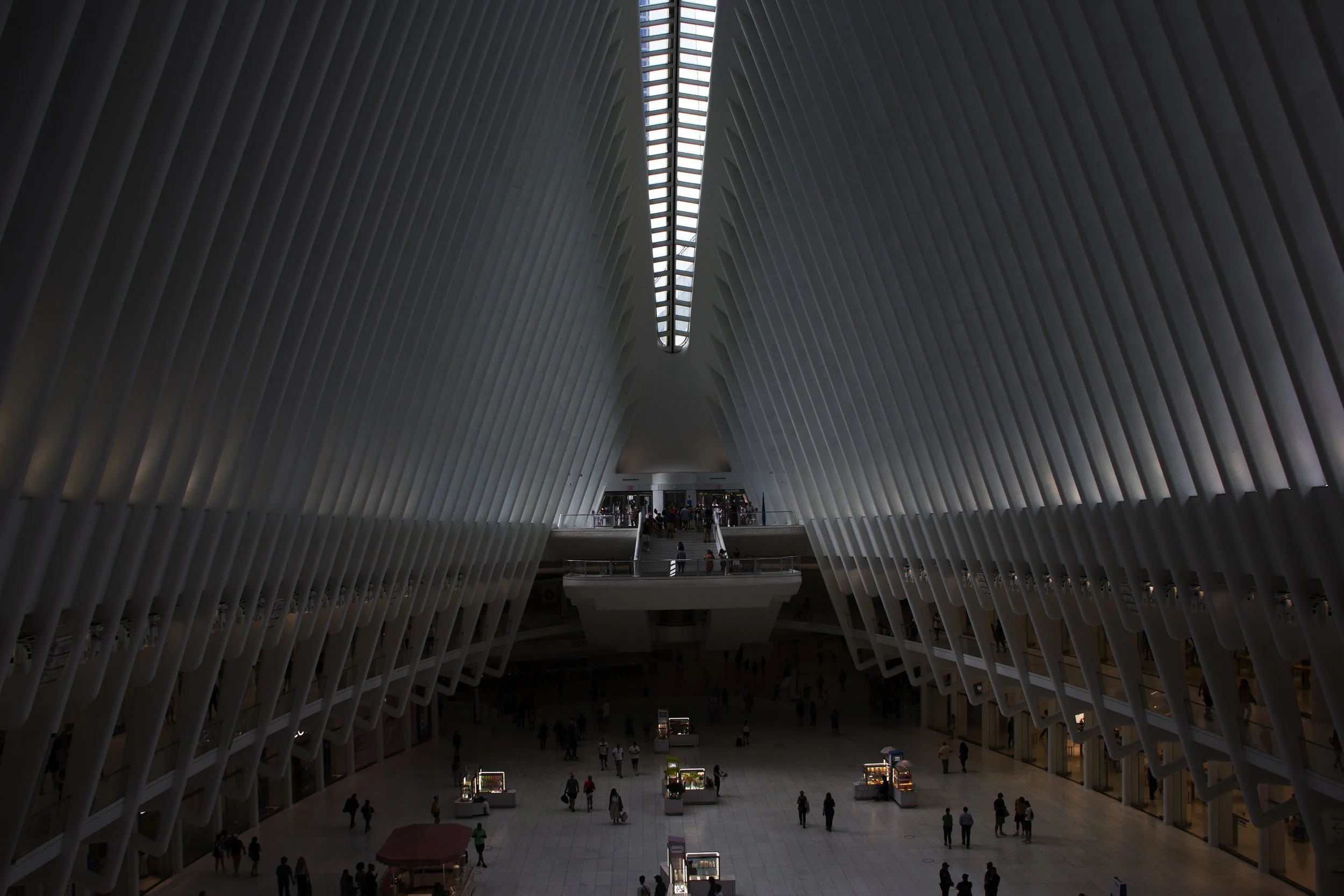 L_MG_8455 copy 2.jpg