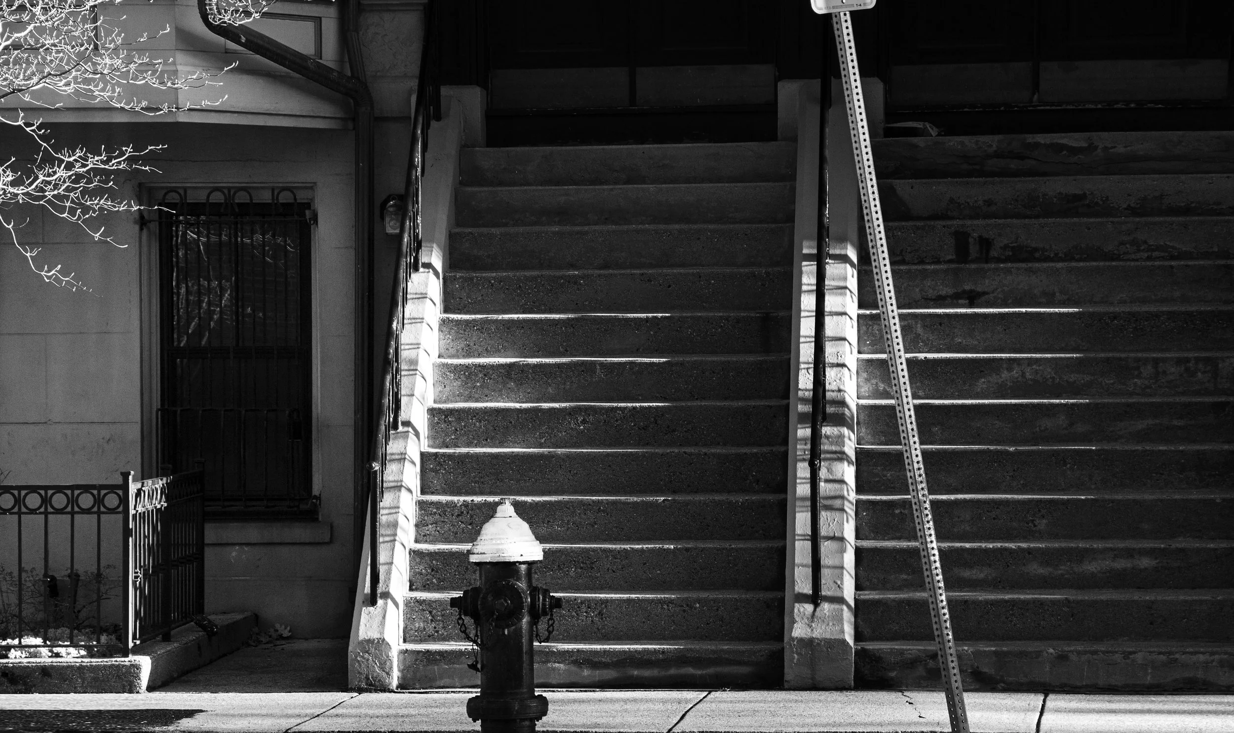 Portfolio_Ocko_0010-1 copy.jpg