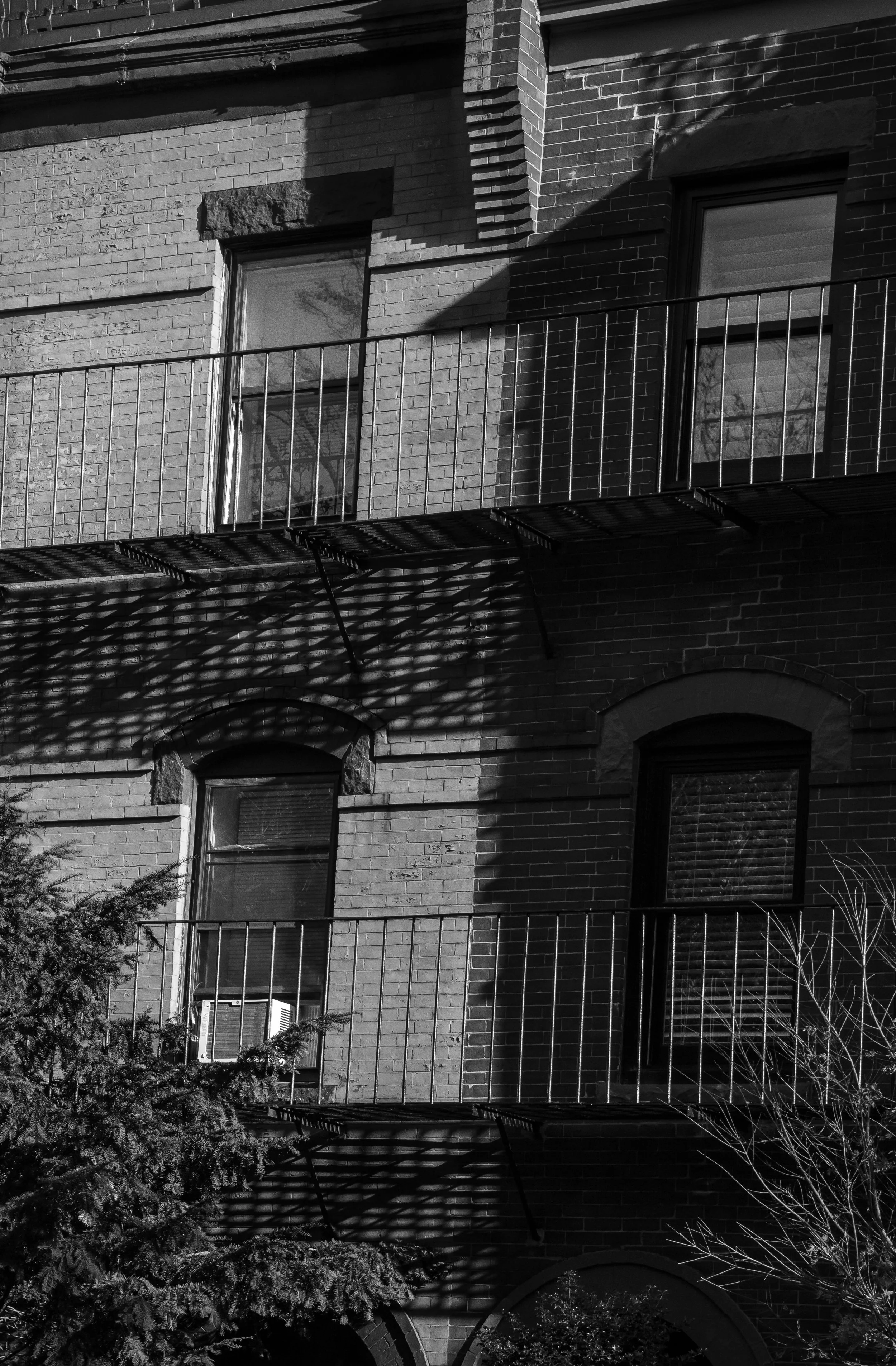 Ocko_Portfolio0097-1 copy 2.jpg