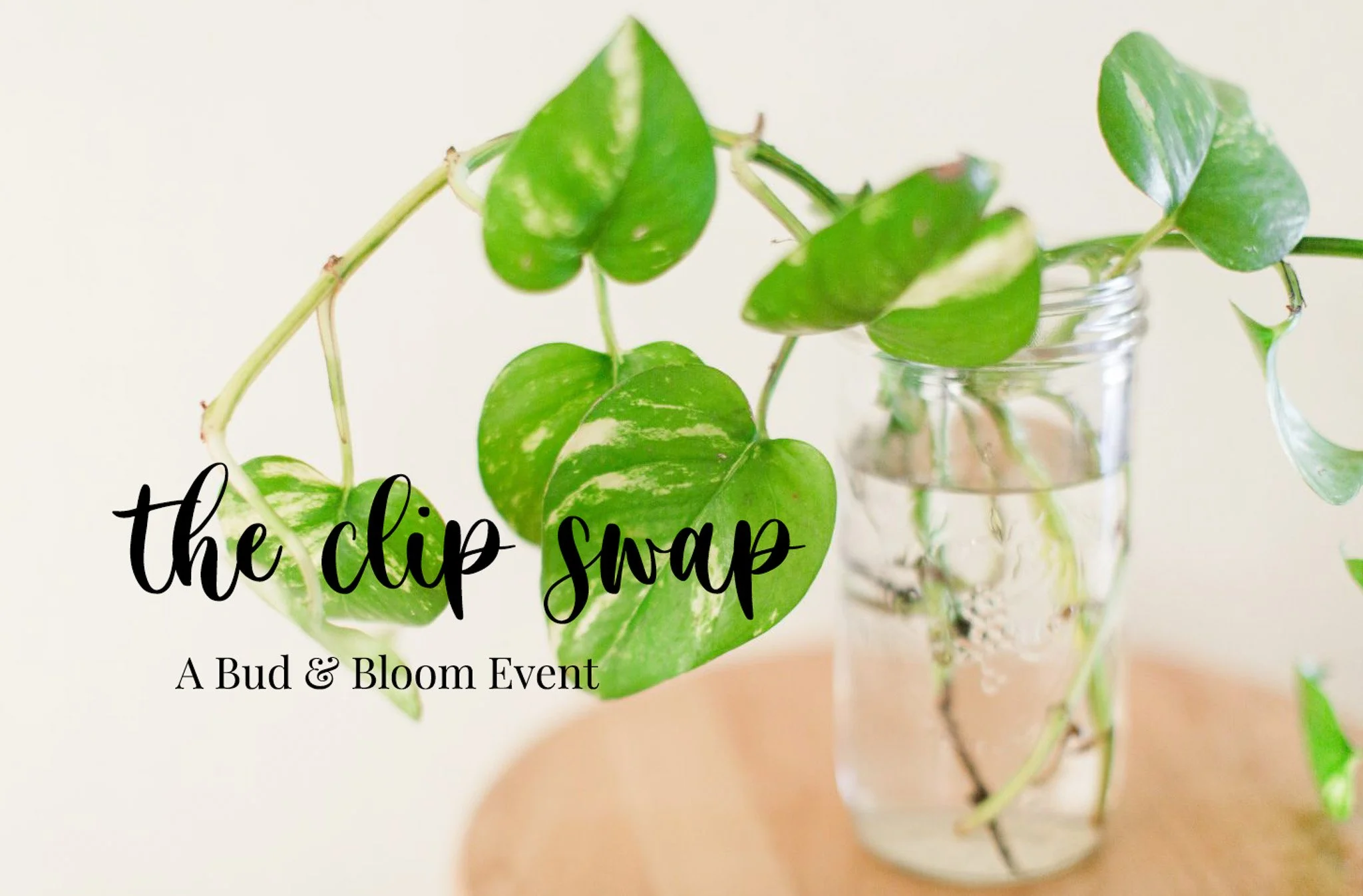 The Clip Swap - a Bud & Bloom Event