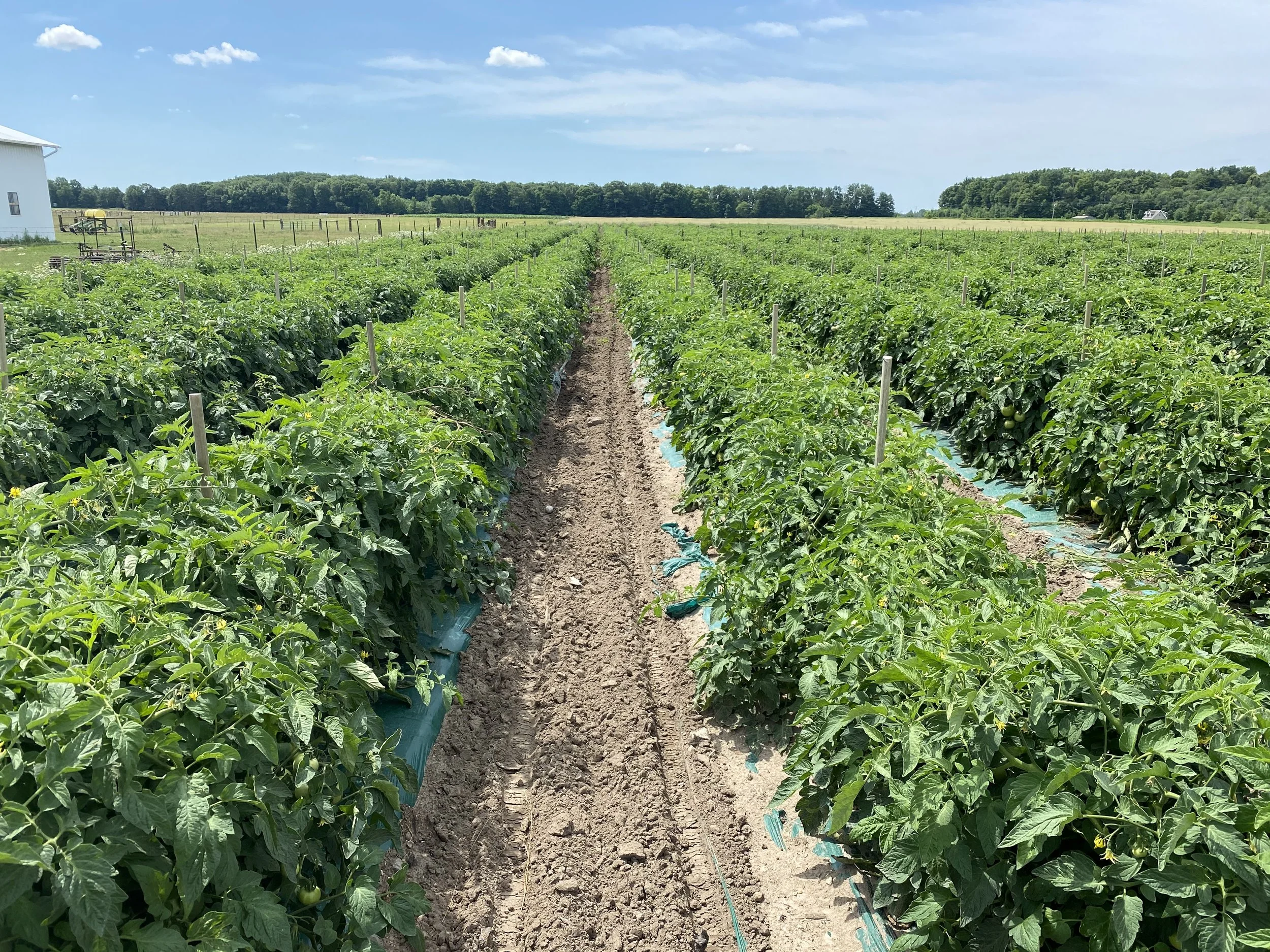 -Weaver Farms