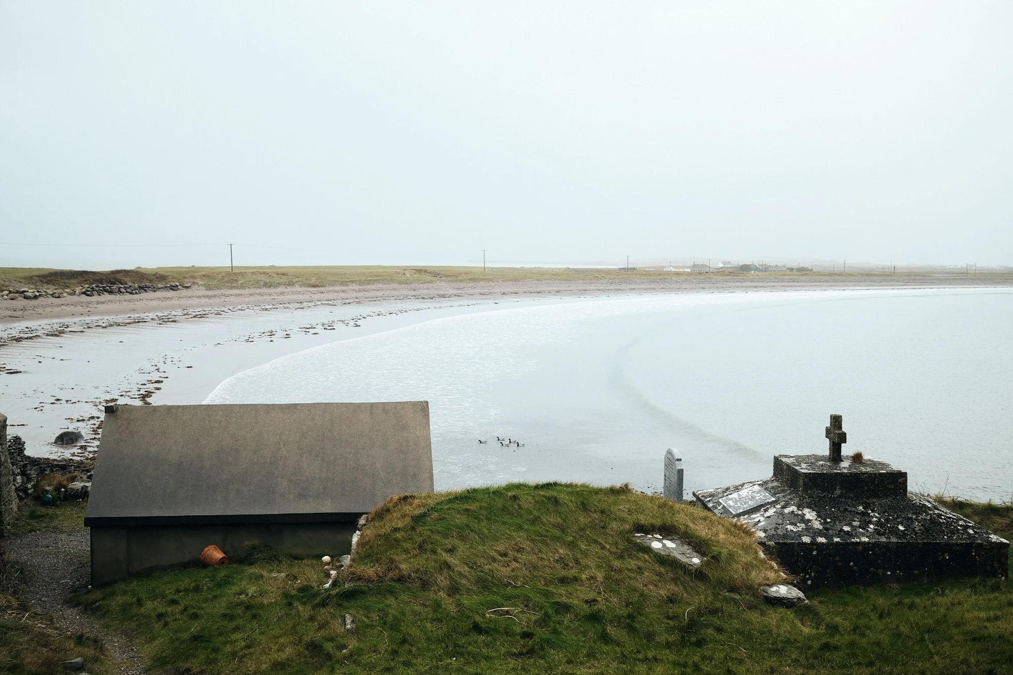 DSCF6780.jpg