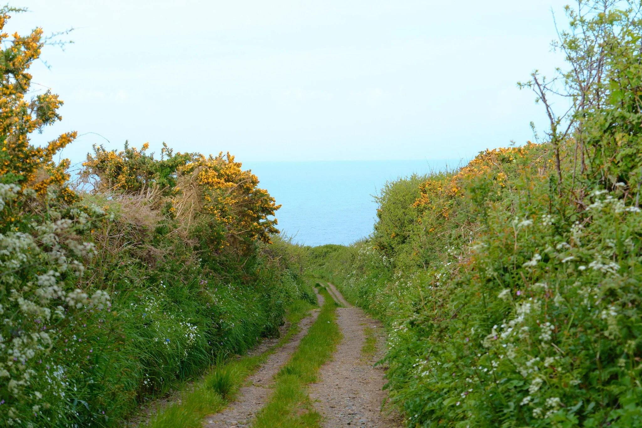 Cornwall