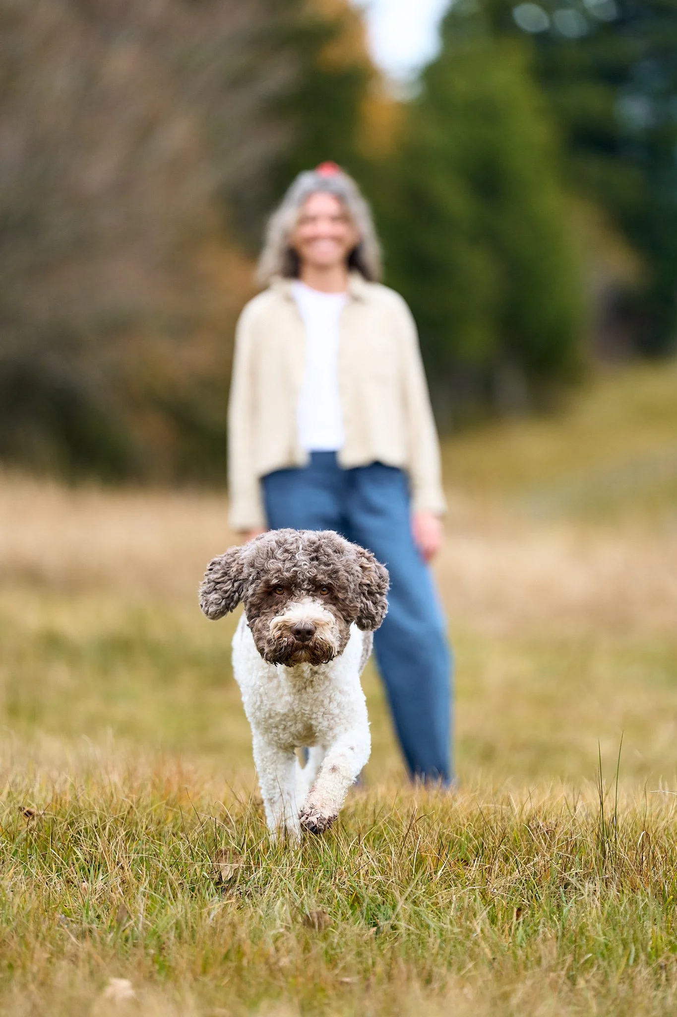 Ein Hund läuft auf einer Wiese dem Betrachter entgegen, im Hintergrund steht eine lachende Frau in einer Herbstlandschaft.