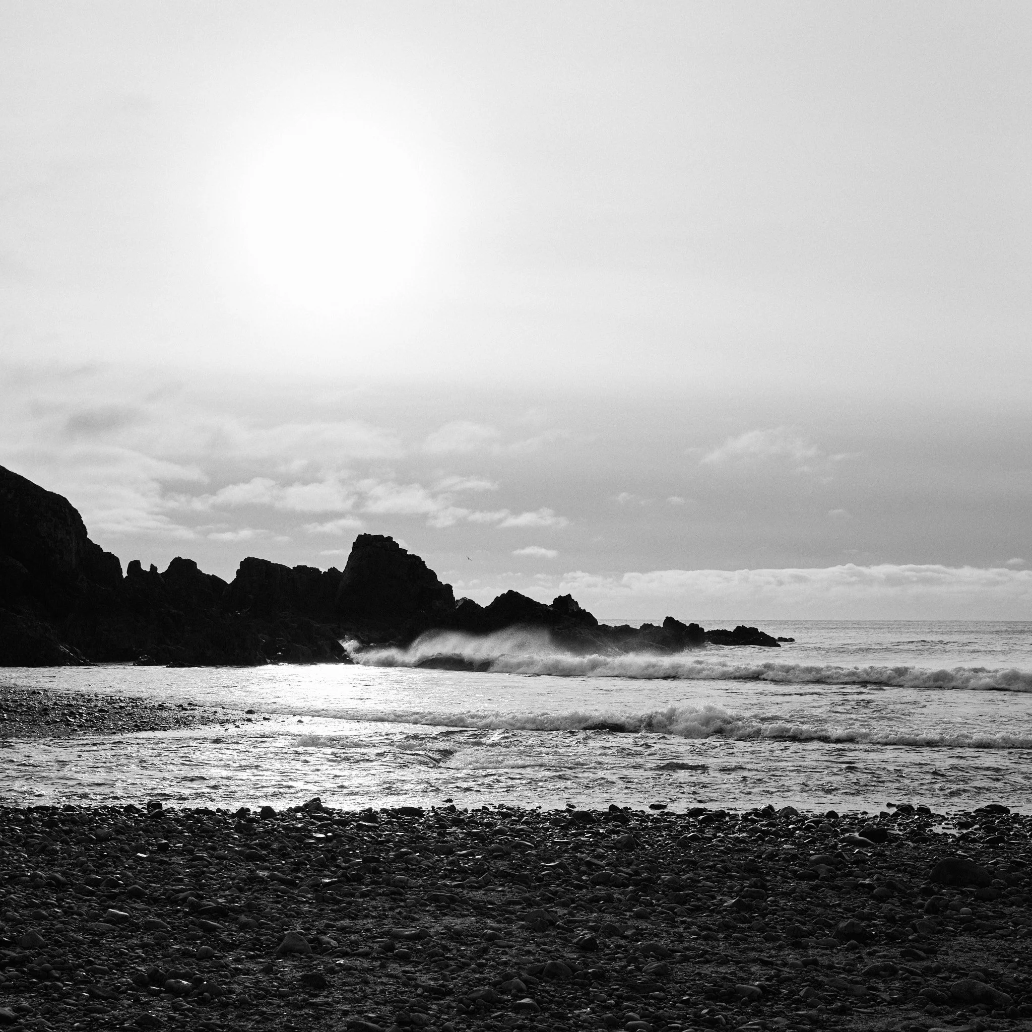 DSCF7460.jpg