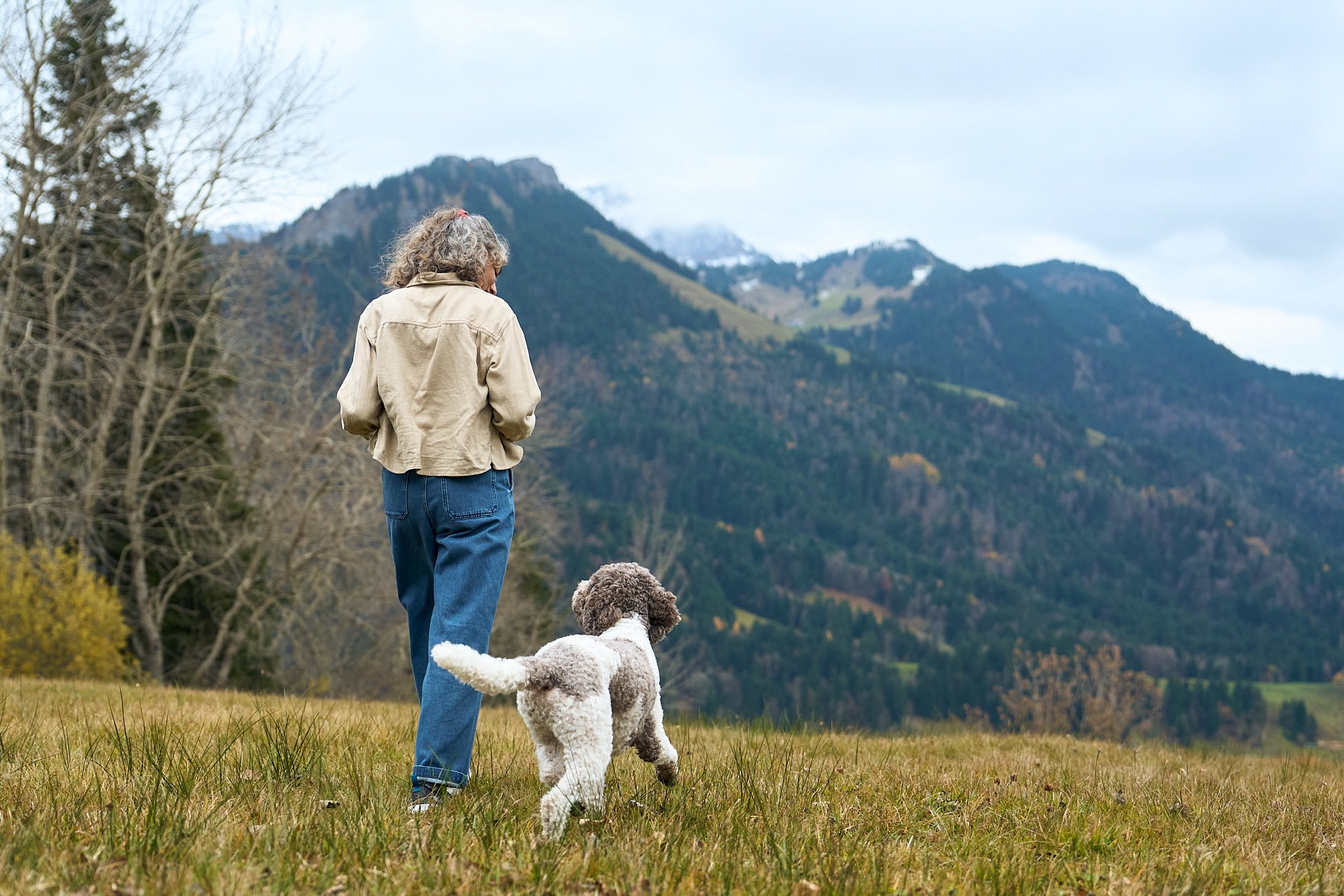 Eine Person mit grauem, lockigem Haar und einer beige Jacke, die mit einem Hund in einer offenen Wiese mit Bergen im Hintergrund spazieren geht.