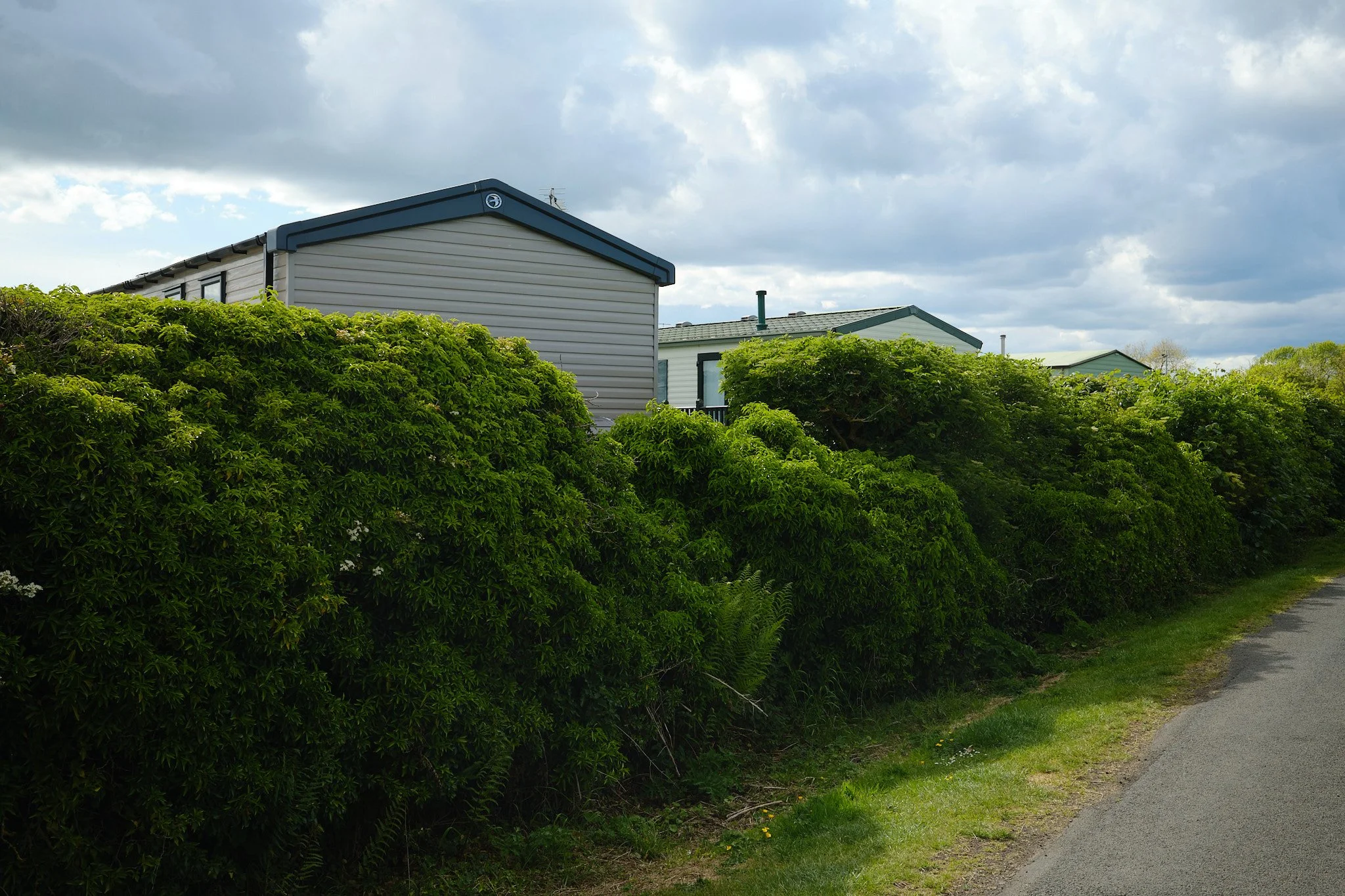 DSCF0588.jpg