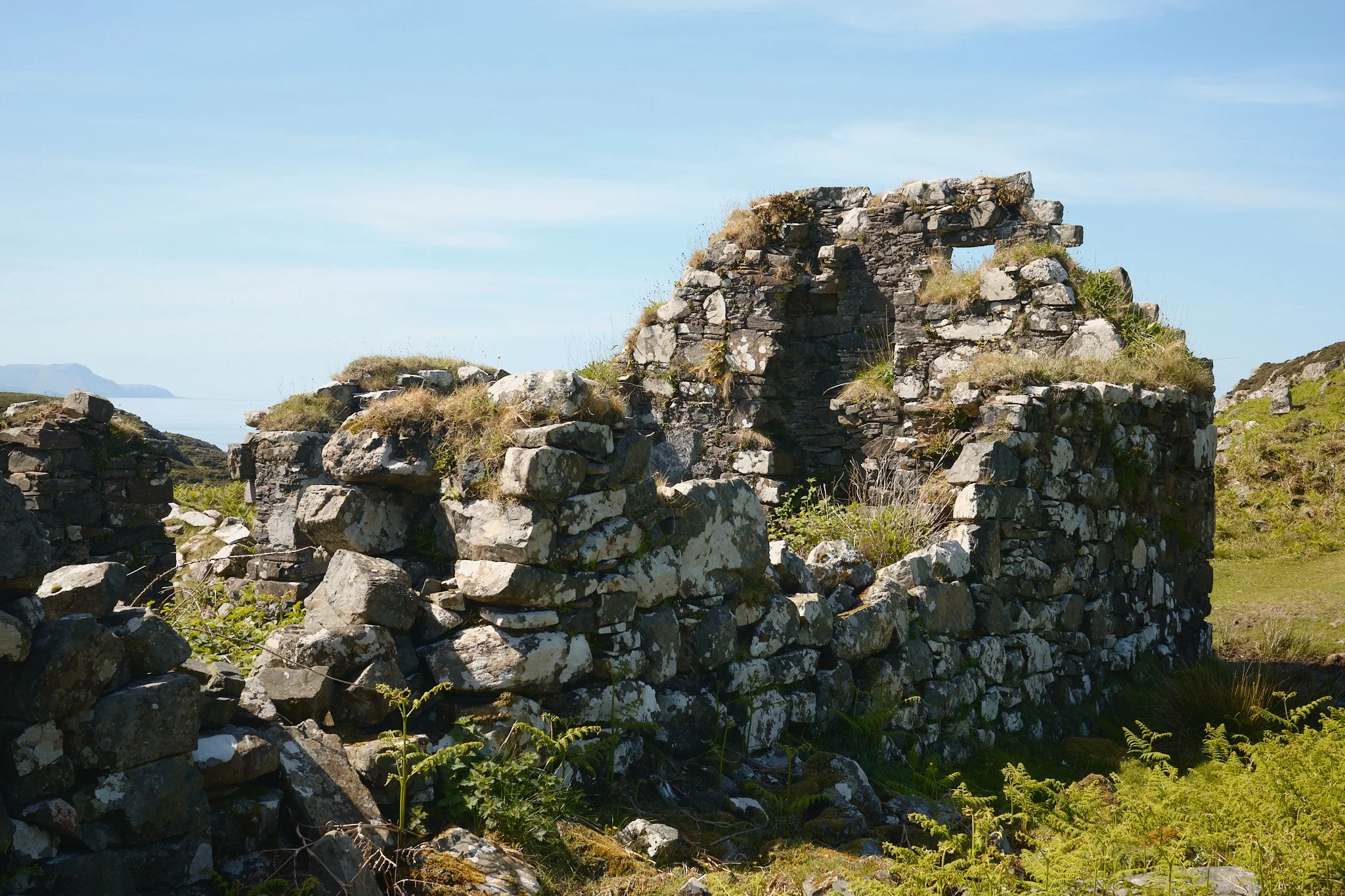 DSCF9503.jpg