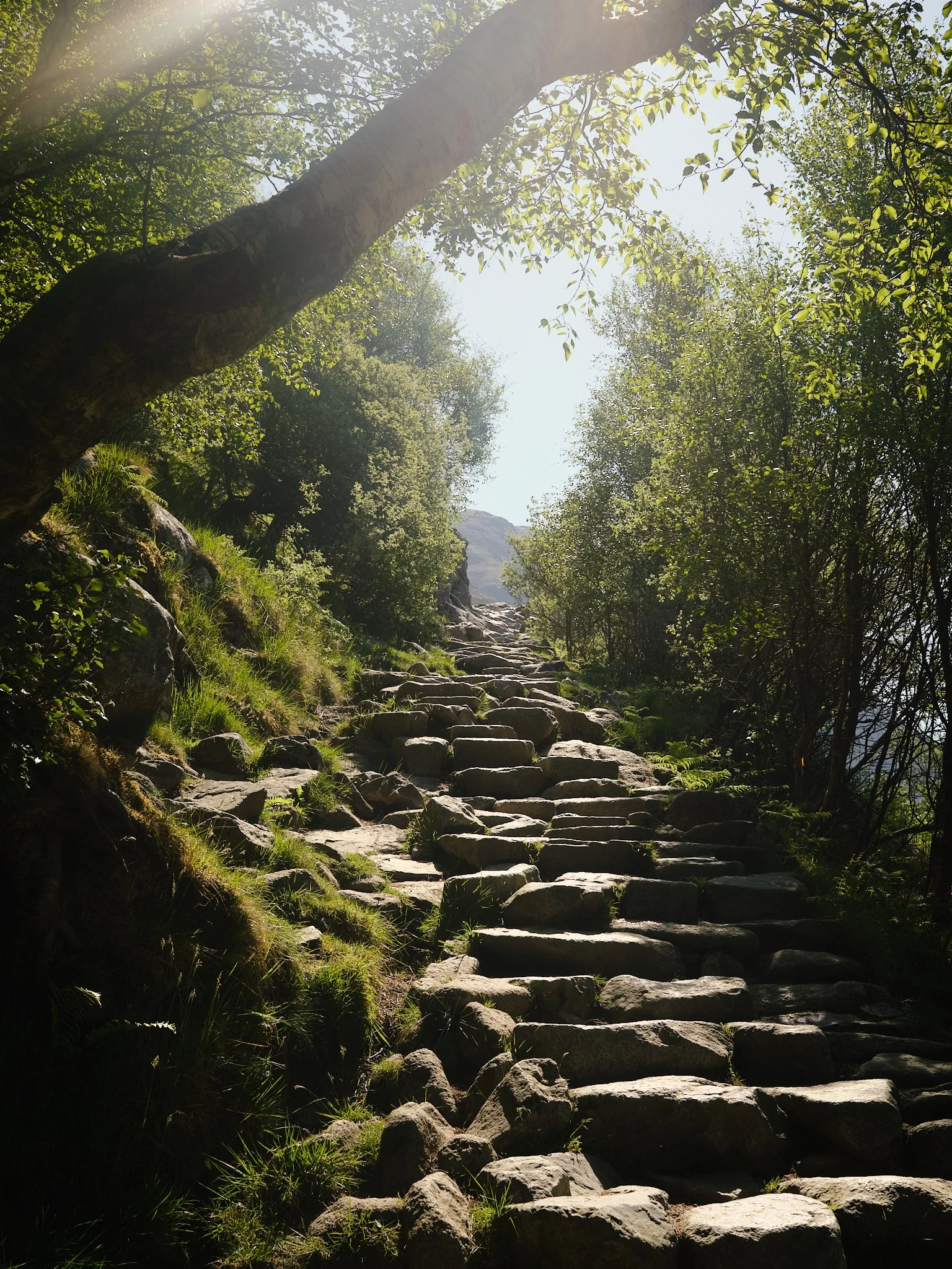 DSCF9318.jpg