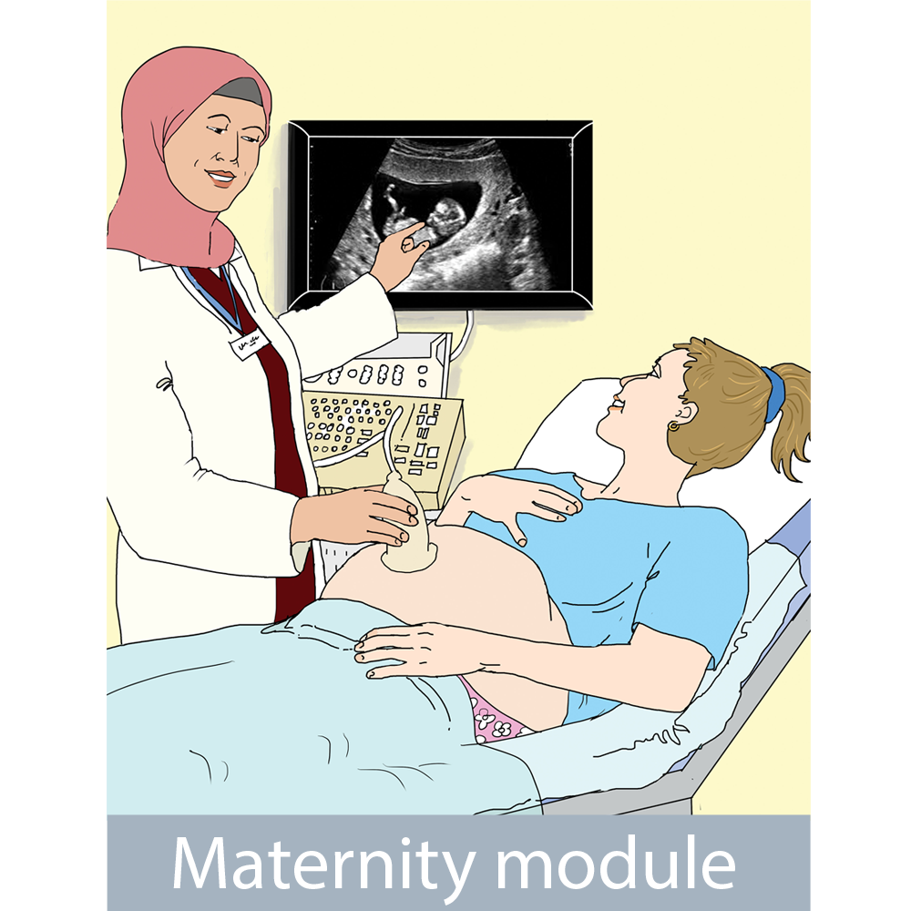 Inclusive Maternity Care elearning module