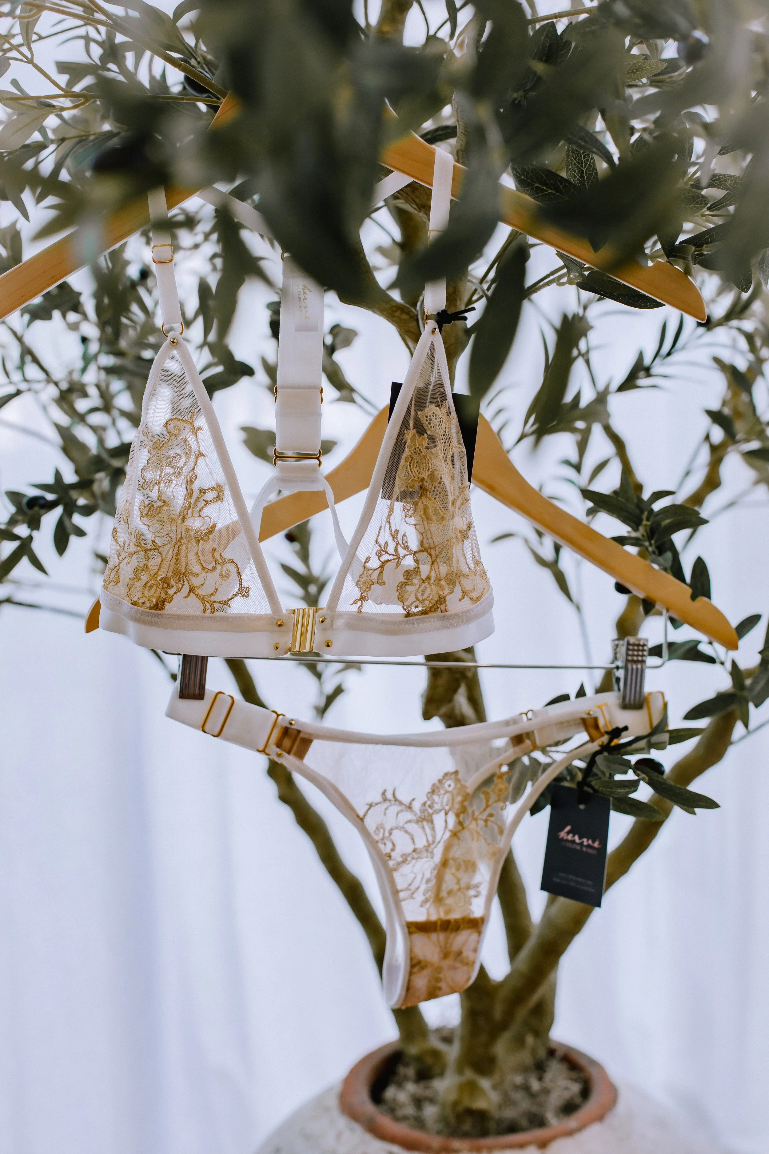 A delicate white with intricate gold floral Iace embroidered bra handcrafted in Spain hanging on a tree.