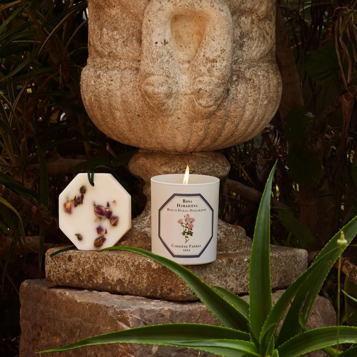 cf-pdp-bougie-rose03-1600x1600.jpg