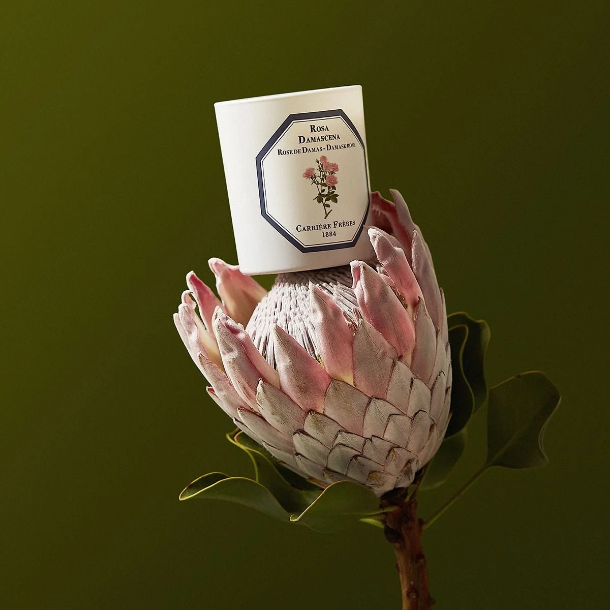 damask_rose_candle_-_1200x1200.jpg
