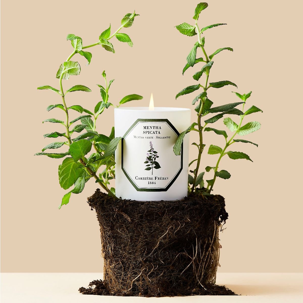 cf_-_spearmint_-_candle_-_2024_-_web_only_-_3397698610305.jpg