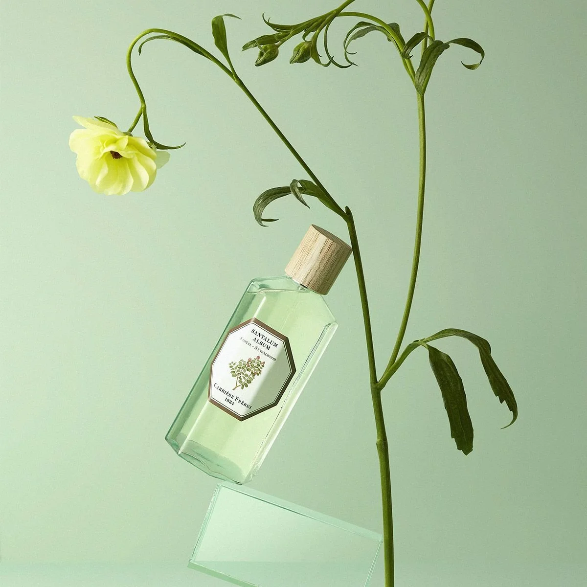 cf-pdp-vapos-santal-2024-1600x1600.jpg
