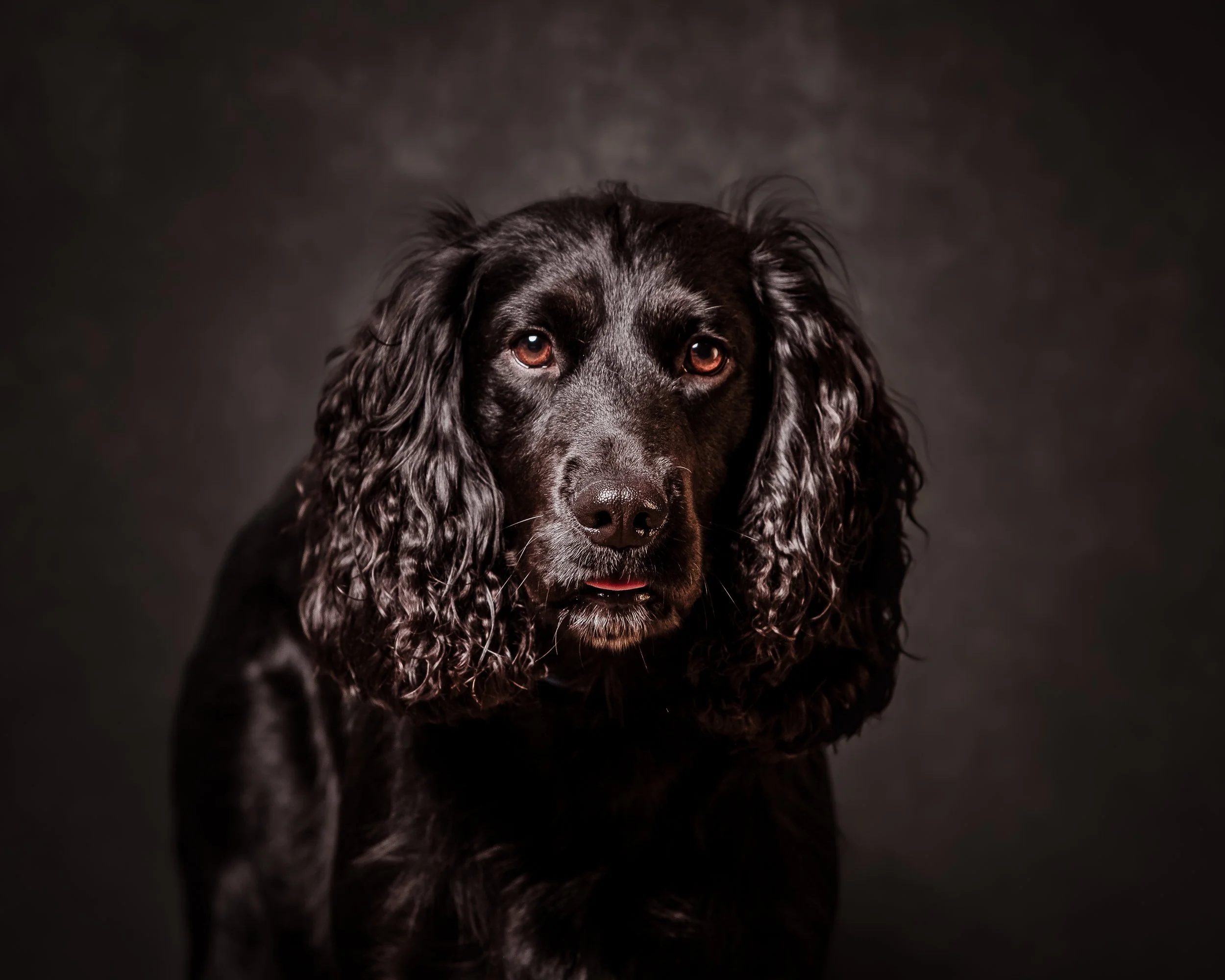 6Y1A3013-Edit.jpg