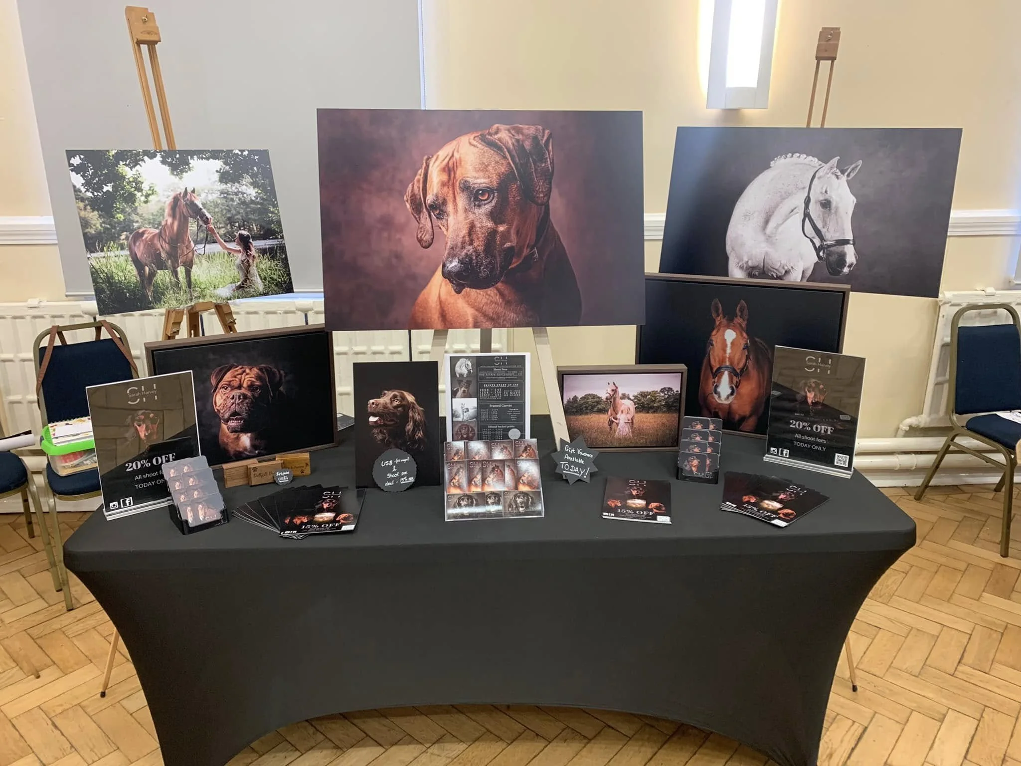 Dog & Horse Photography