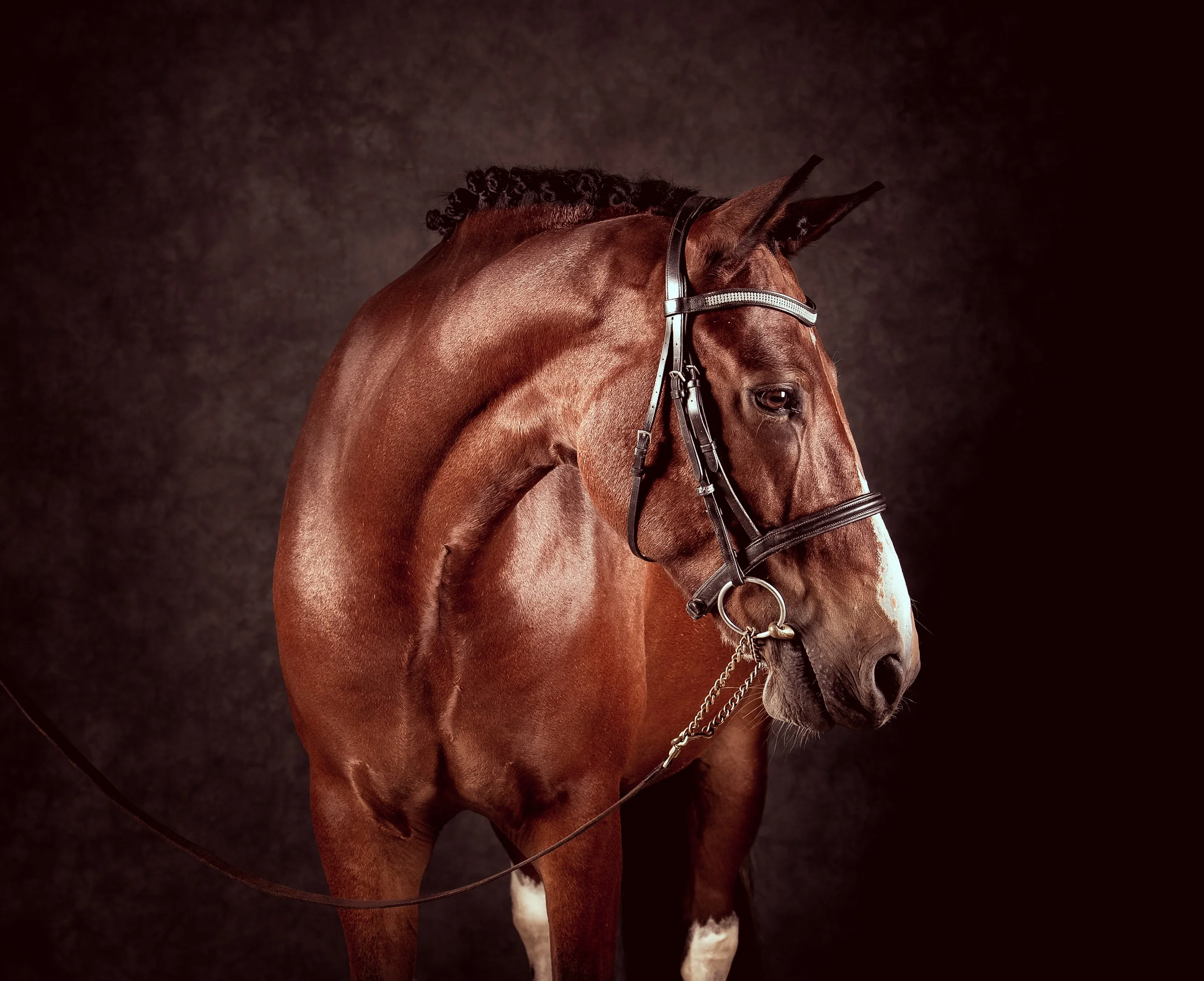 6Y1A1247-Edit.jpg