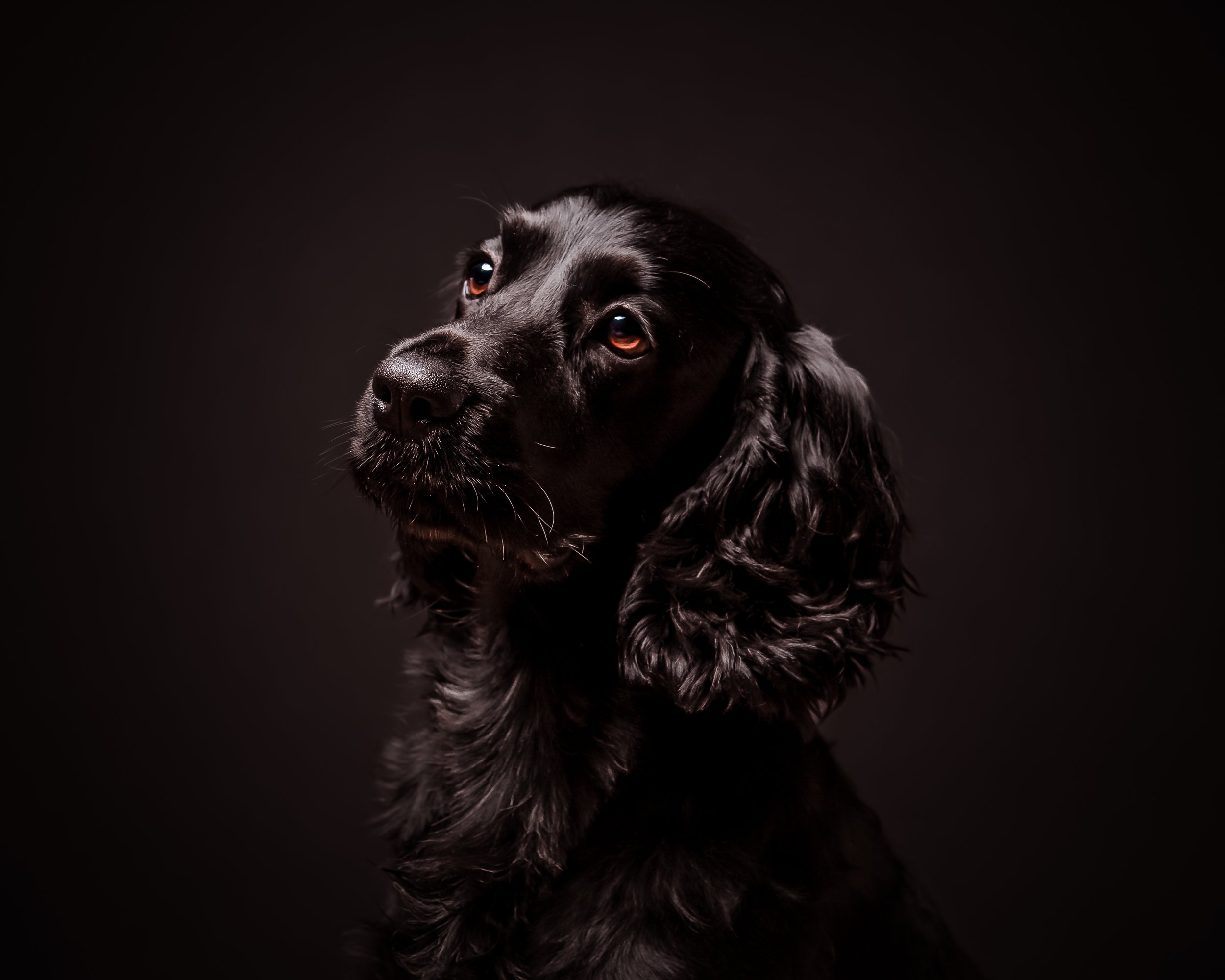 6Y1A4540-Edit.jpg