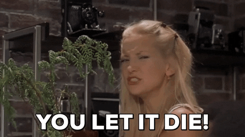 How To Lose A Guy In 10 Days Love Fern GIF by Joseph Raja.gif