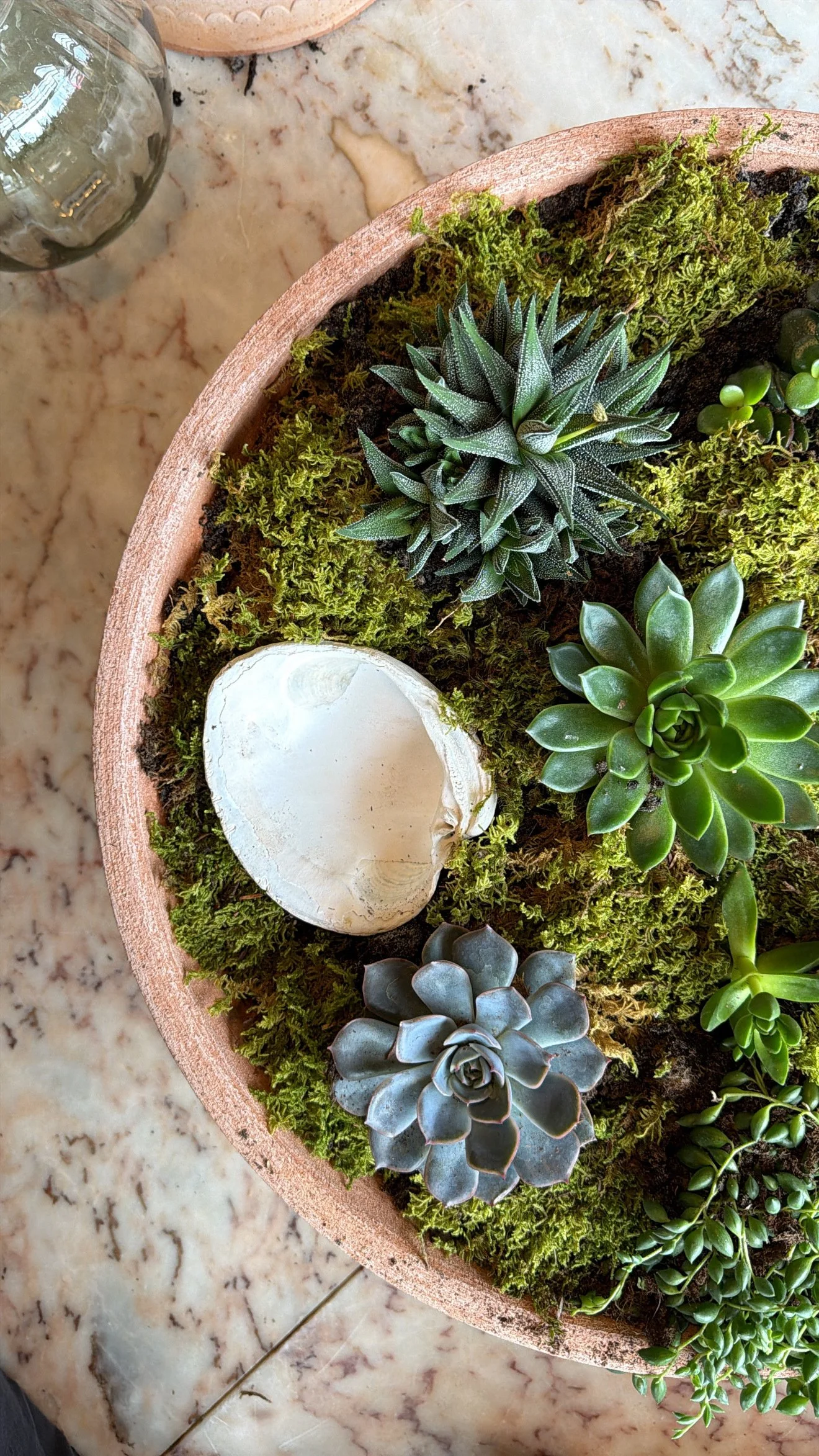 Succulent Bowl Workshop