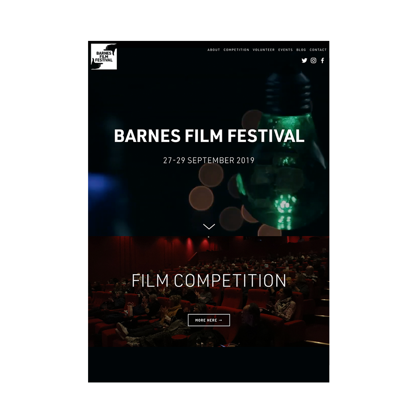 KateRoncoroniGraphicDesign-Barnes-website.png