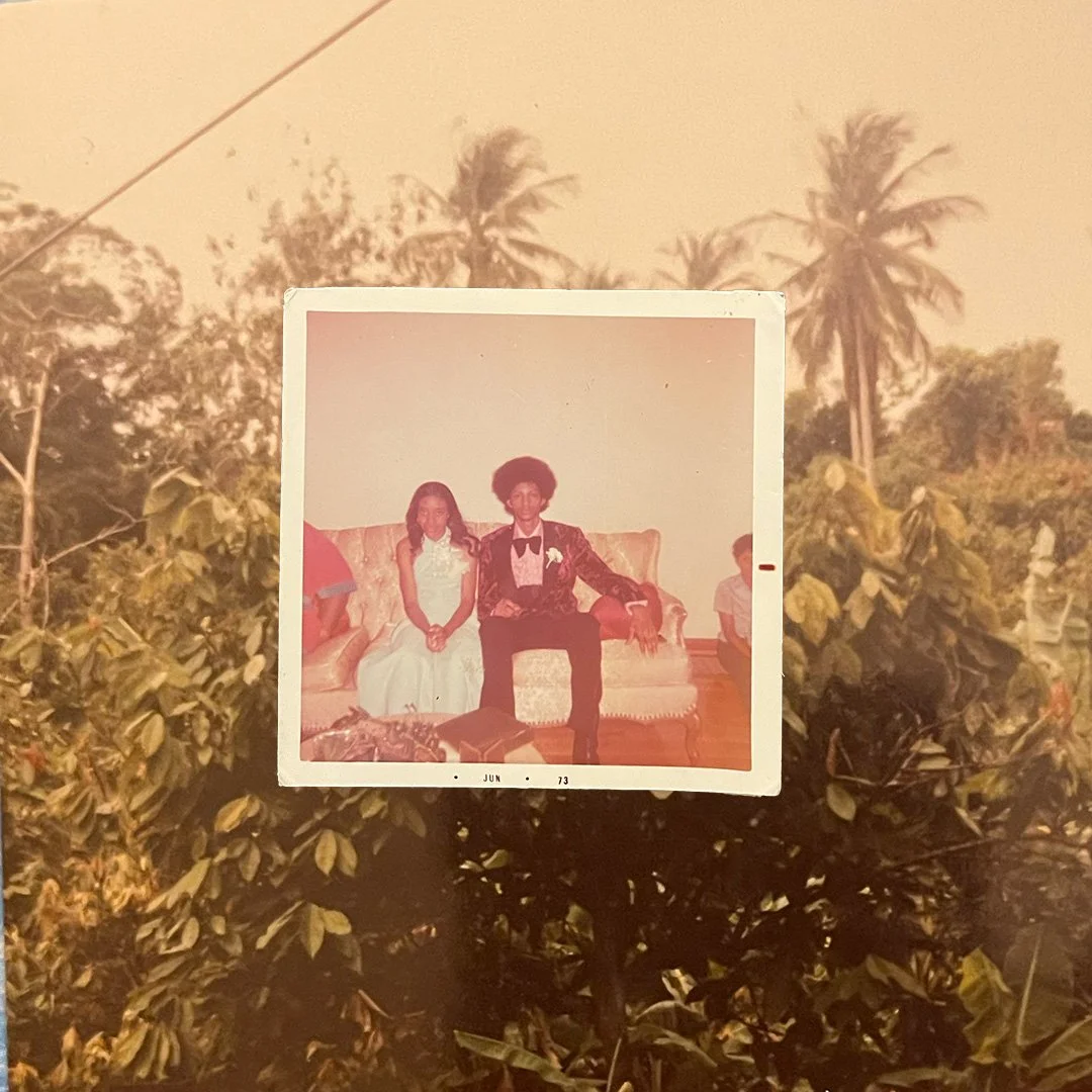 Artboard 1 copy 5japal-polaro.jpg