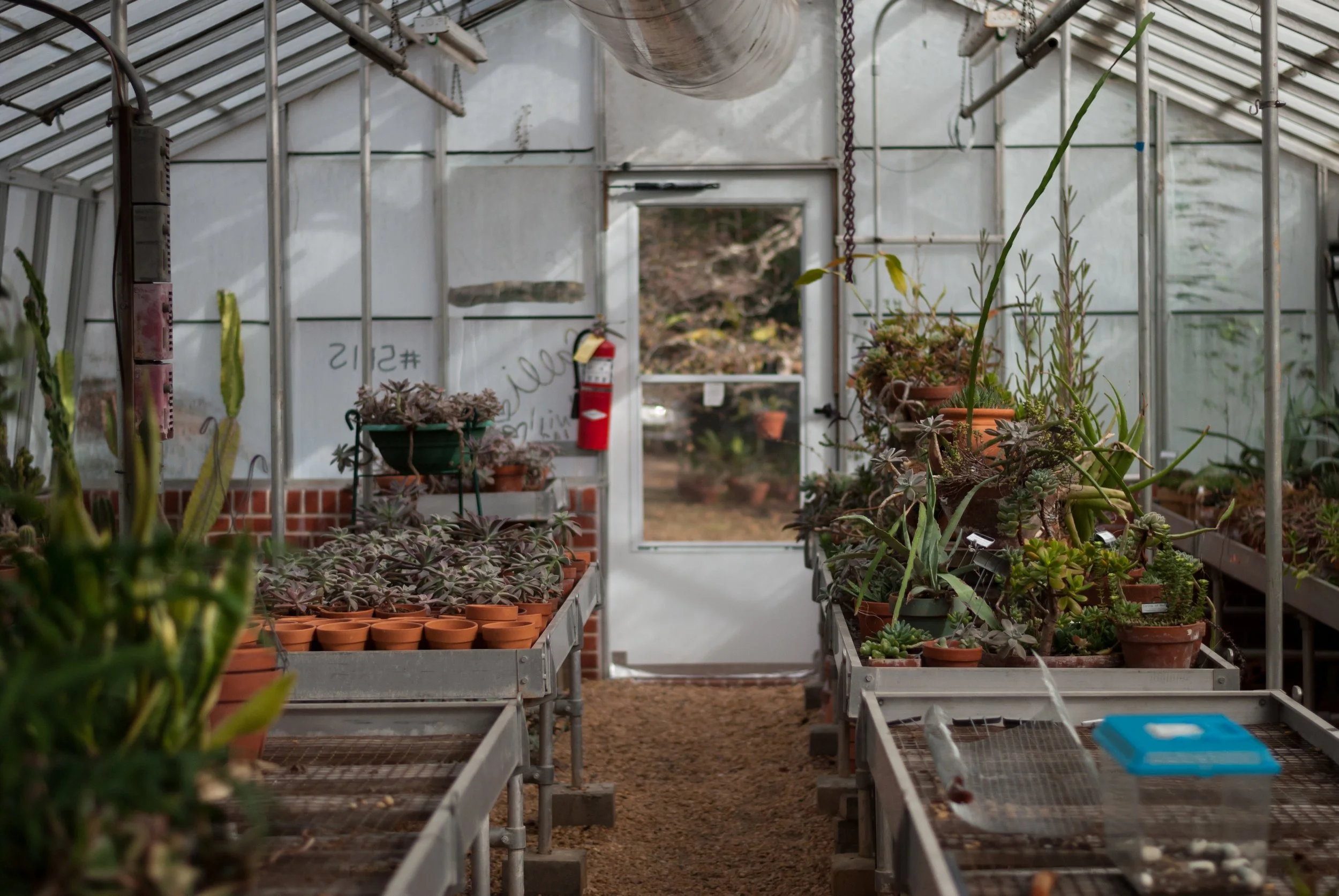 Japal-n-drought-arboretum (8 of 72).jpg