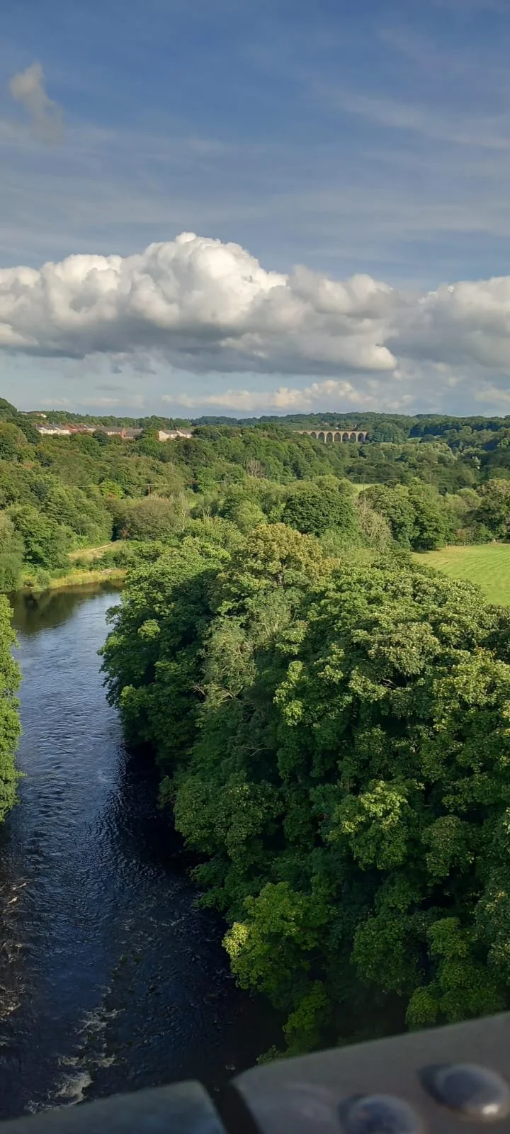 WhatsApp Image 2024-09-04 at 14.14.08.jpeg