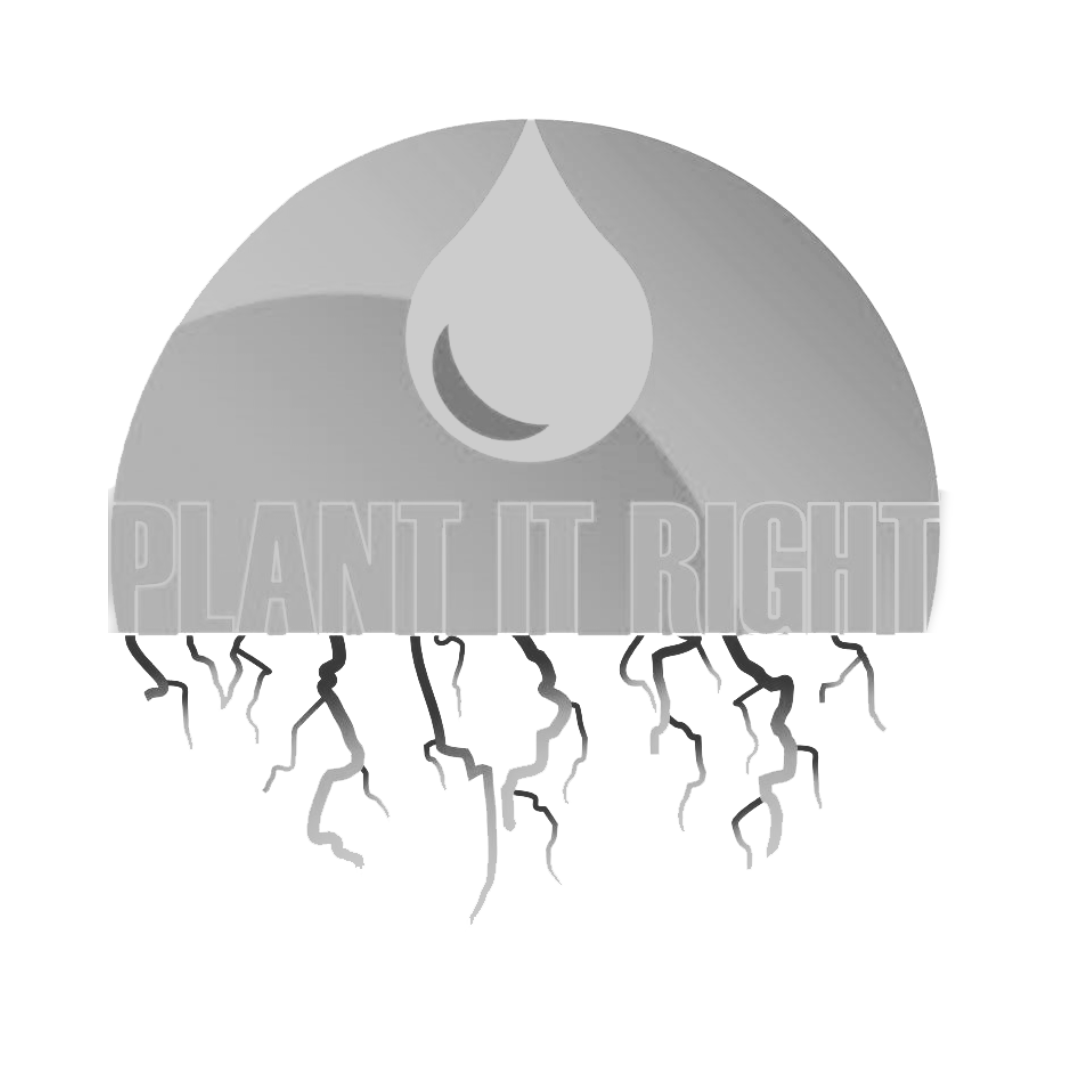 A graphic design with the phrase 'Plant it Right' and a logo resembling a drop of water above the text, with roots extending downward from the message.