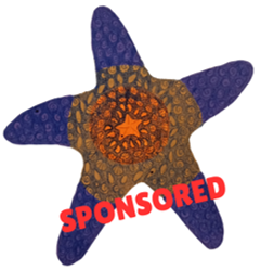 ARTIST: Emma Garness | SPONSOR: Number Nine, The Marketplace